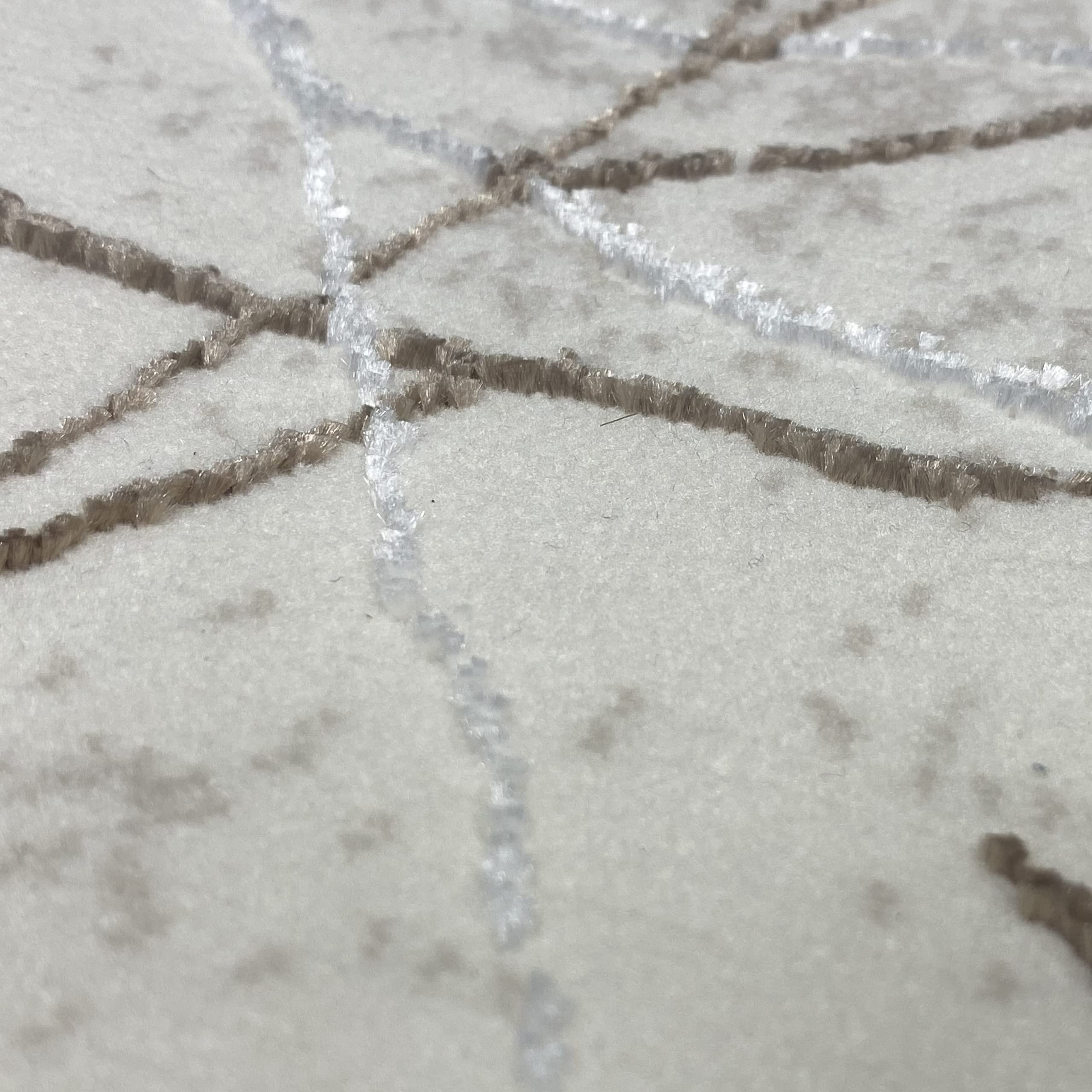 CARPETIA Tappeto moderno dal Design di Rami astratto | easy care | crema marrone, 140 x 200 cm
