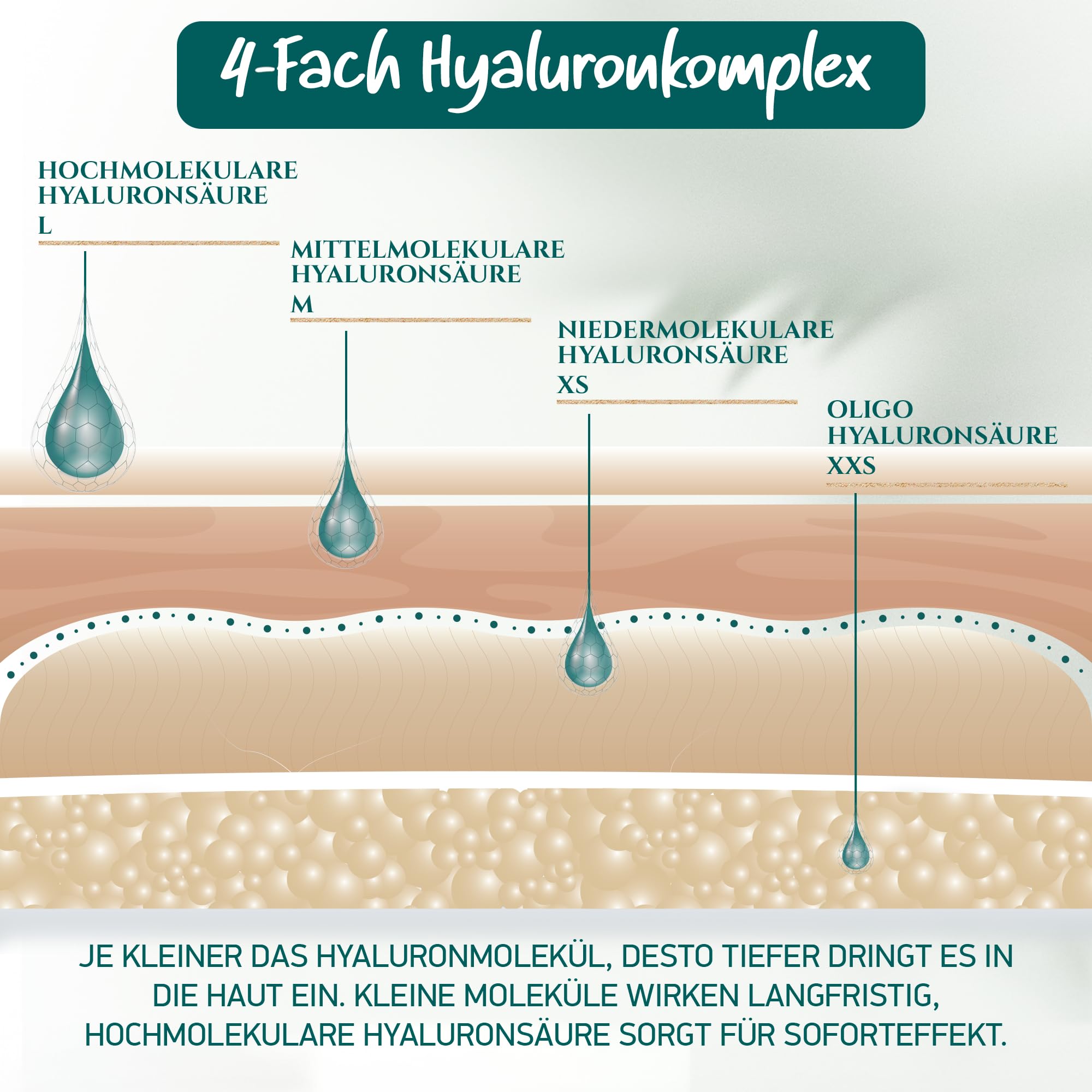 Bio Hyaluron Serum Hochdosiert - Beste Hyaluronsäure (Oligo) - 8-Fach Anti-Falten-Komplex- Mit 4 Hyalurongrößen - Frei von Alkohol & Parfüm 100ml - Hyaluronsäure Serum