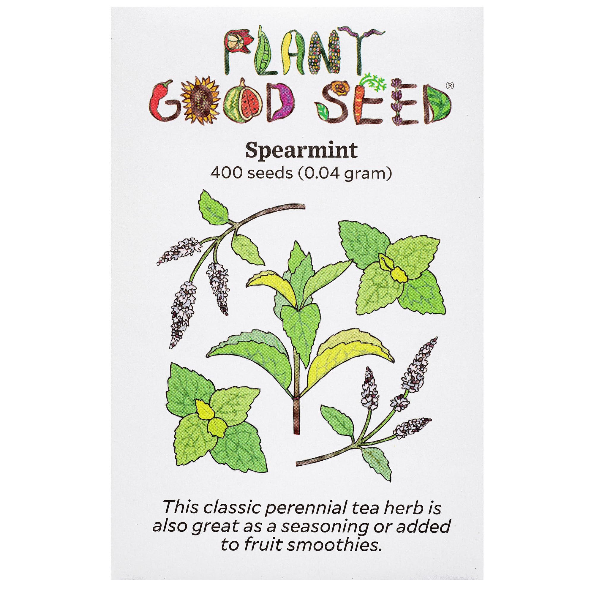 Plant Good Seed Spearmint: Seeds for Planting, Armoatic Perennial Herb, Bright Green Mint Leaves - 400 Seed Packet