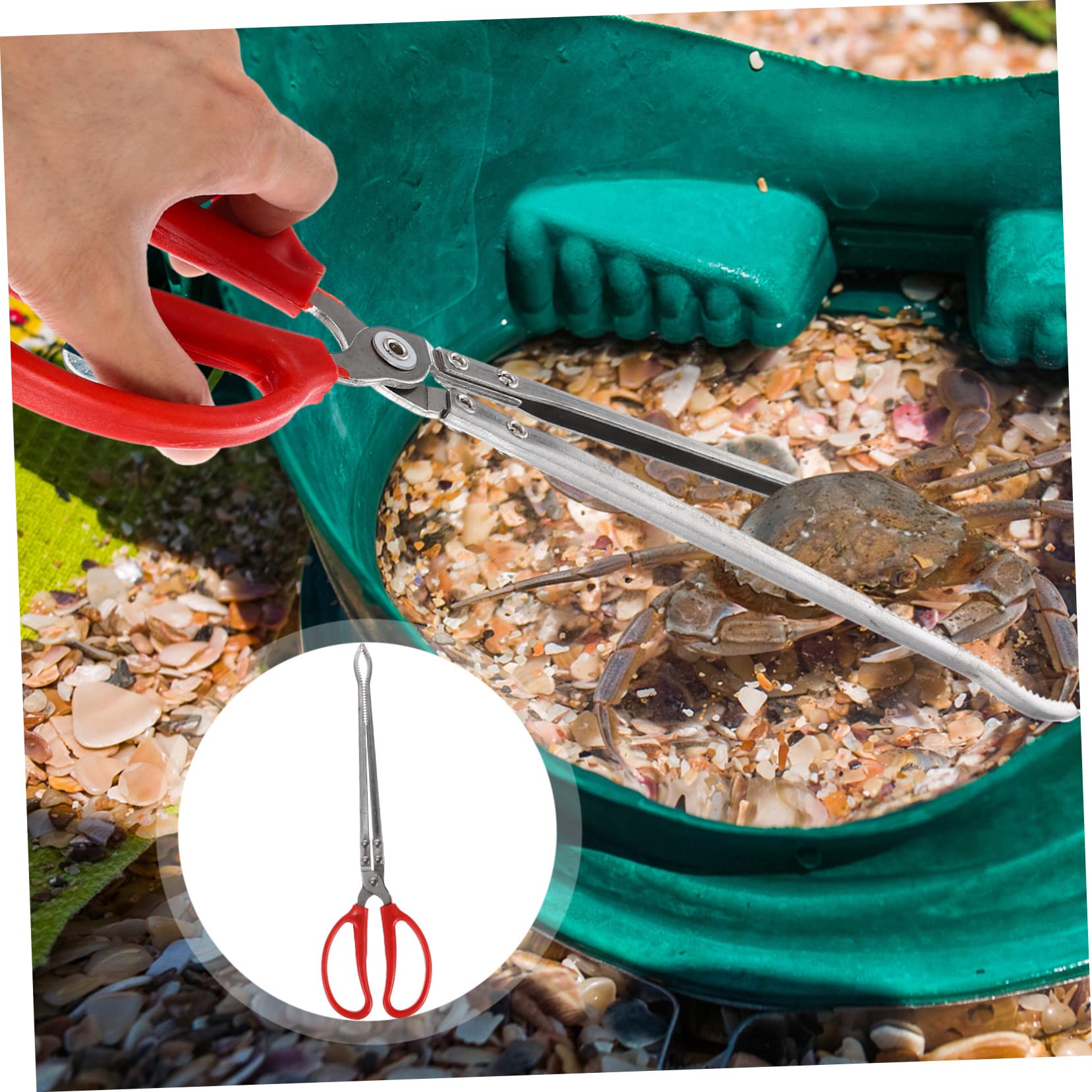 Pince à Crabe en Acier Inoxydable Multifonction Portable