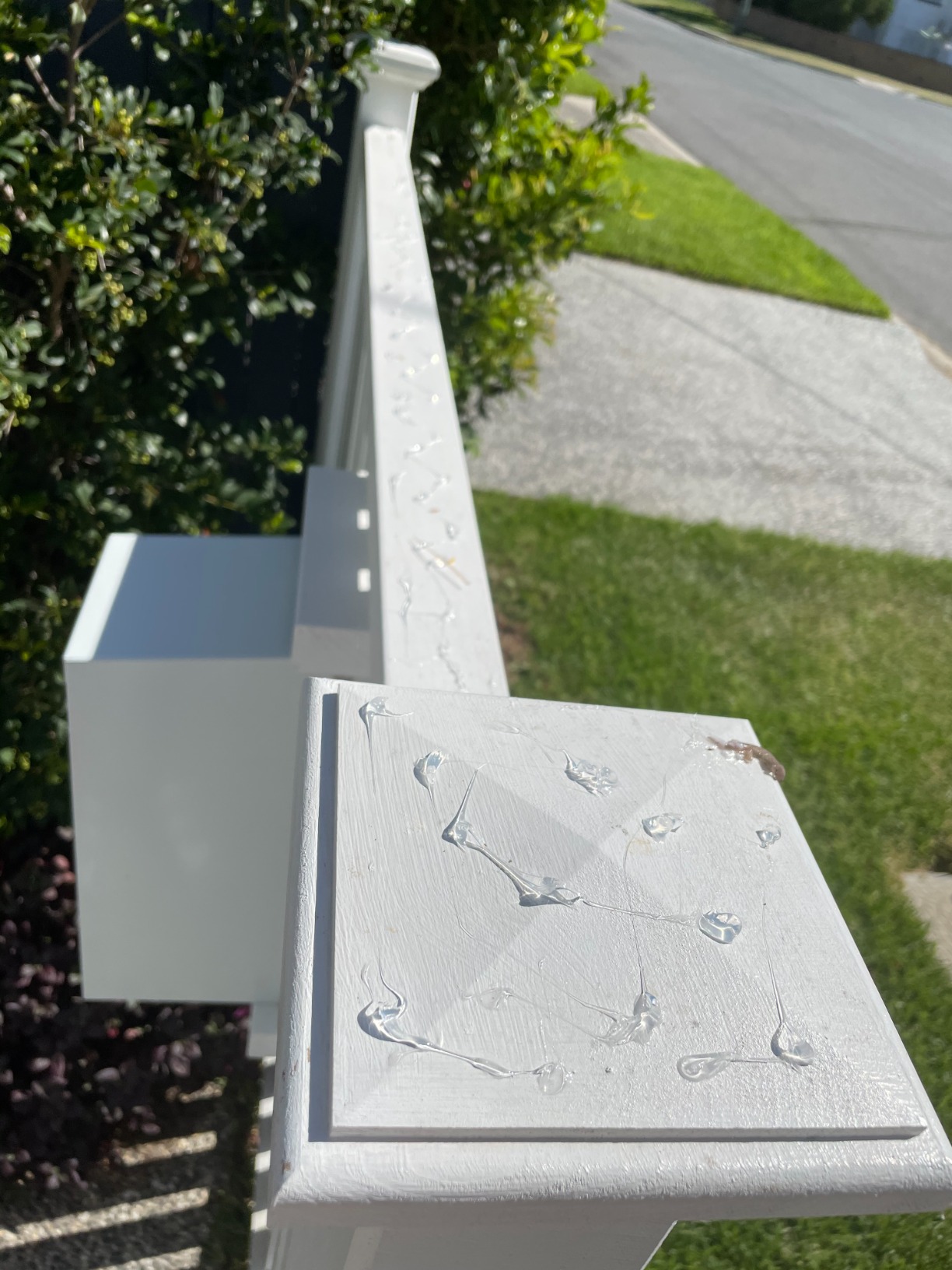 BirdX Bird Proof Gel, Sticky and Transparent Clear Gel, LongLasting