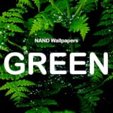 papel pintado verde aesthetic green wallpaper NANDA Green - Papel pintado verde estético