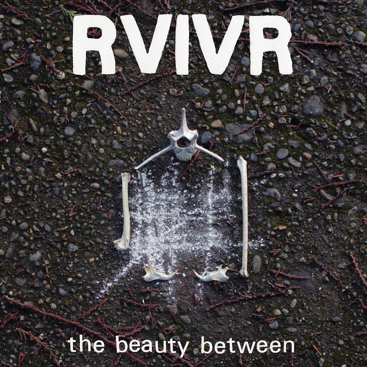 Rvivr - The Beauty Between - Black/Clear Vinyl LP | Presale Ships By 18.9.26