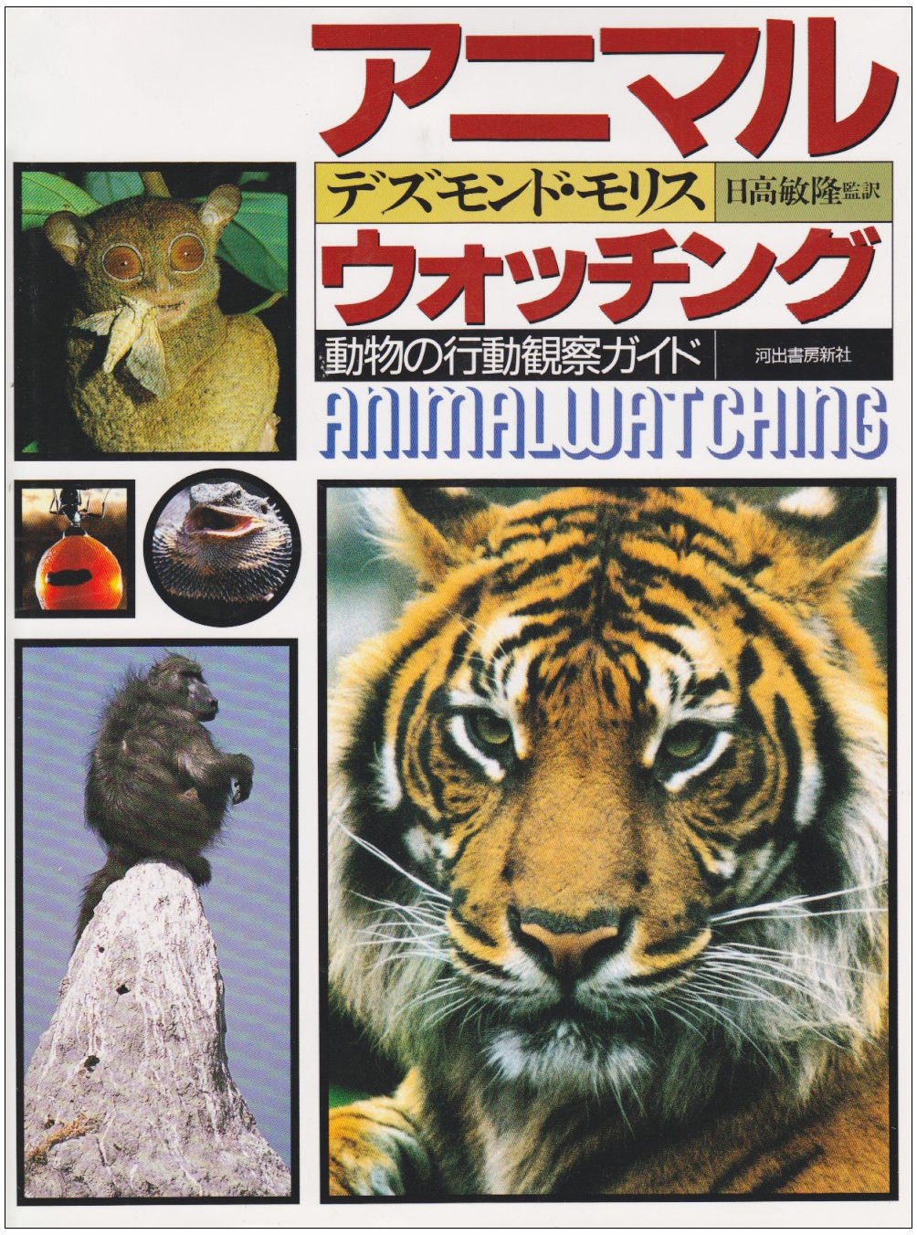 アニマル・ウォッチング: 動物の行動観察ガイド | デズモンド