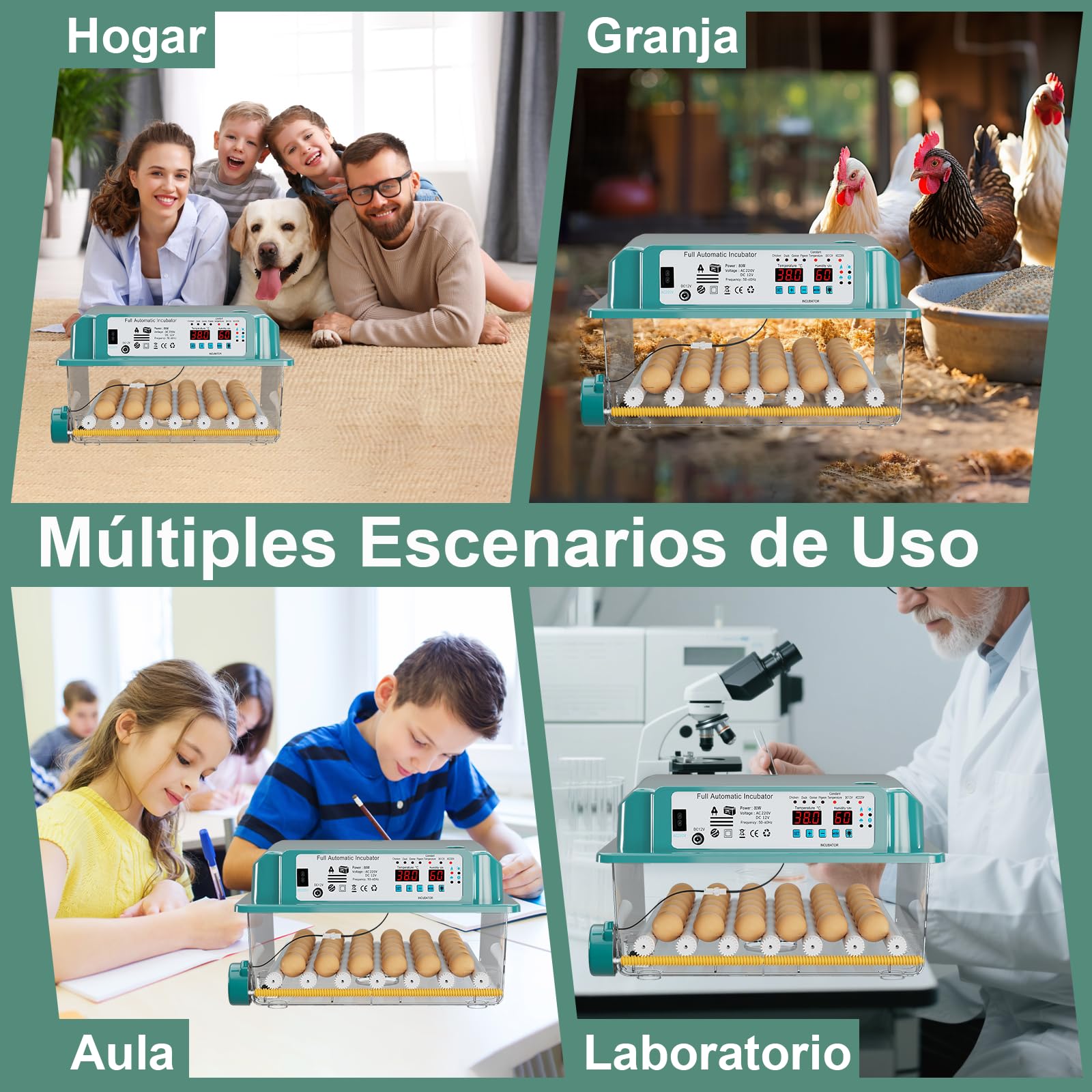 CoInceptus Incubadora Huevos Gallina, Incubadora de 24-36 Huevos con Volteo Automático de Huevos y Adición Automática de Agua, Incubadora con 4 Modos de Incubación Automáticos