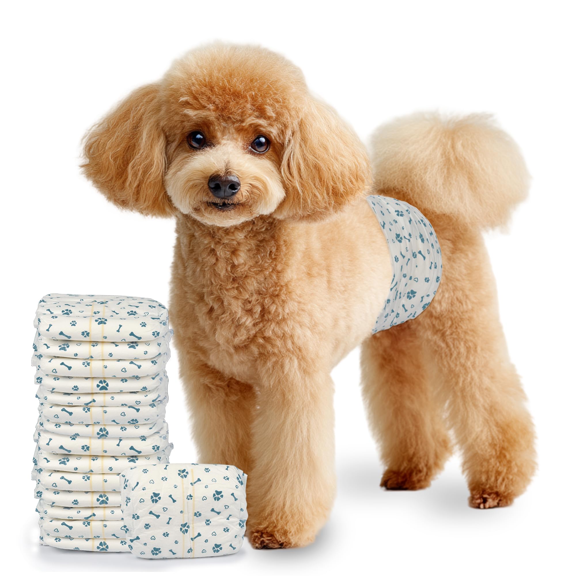 LeapSheep Dog Nappies Male, Super Absorbent Dog Diapers Disposable Dog Nappy Wraps for Puppy Training Excitable Urination