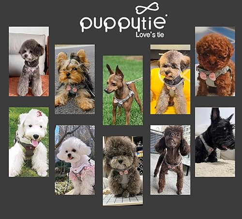 Miniatura 6 de Arnés sin tirones para perro, con correa multifunción, pechera suave y ajustable para mascota, no ahorca, chaleco a prueba de escape, blanco y negro