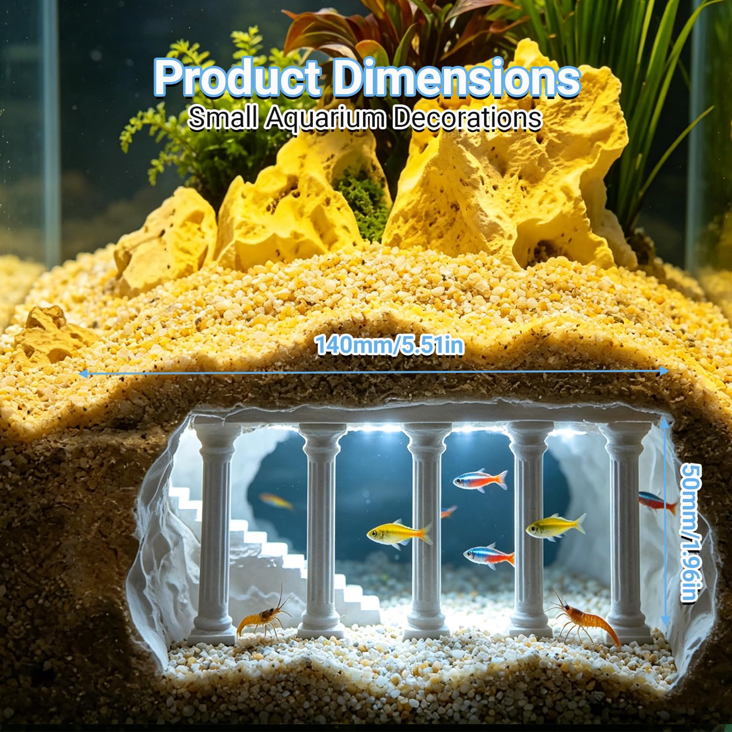 Cachette Aquarium Effet Bois – Tunnel Aquarium Souterrain 3D pour Wels & Crevettes, Grotte Multi-Chambres pour Poissons, Décoration Aquarium Naturelle pour Eau Douce (S)