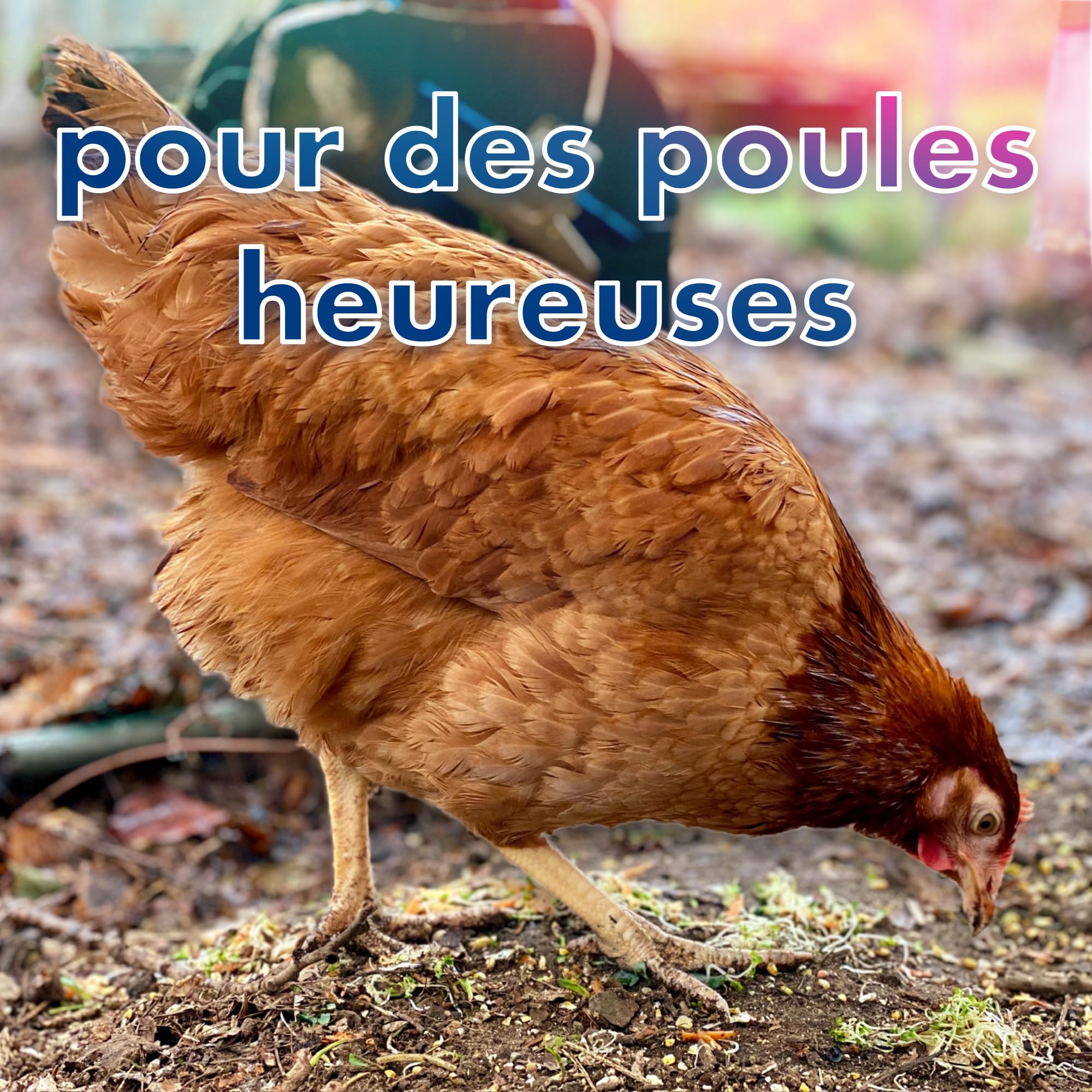 Kit Complet barrière Anti-acariens pour perchoir à Poules Contre Le pou Rouge, Protection Anti-acariens, piège à acariens, poulailler