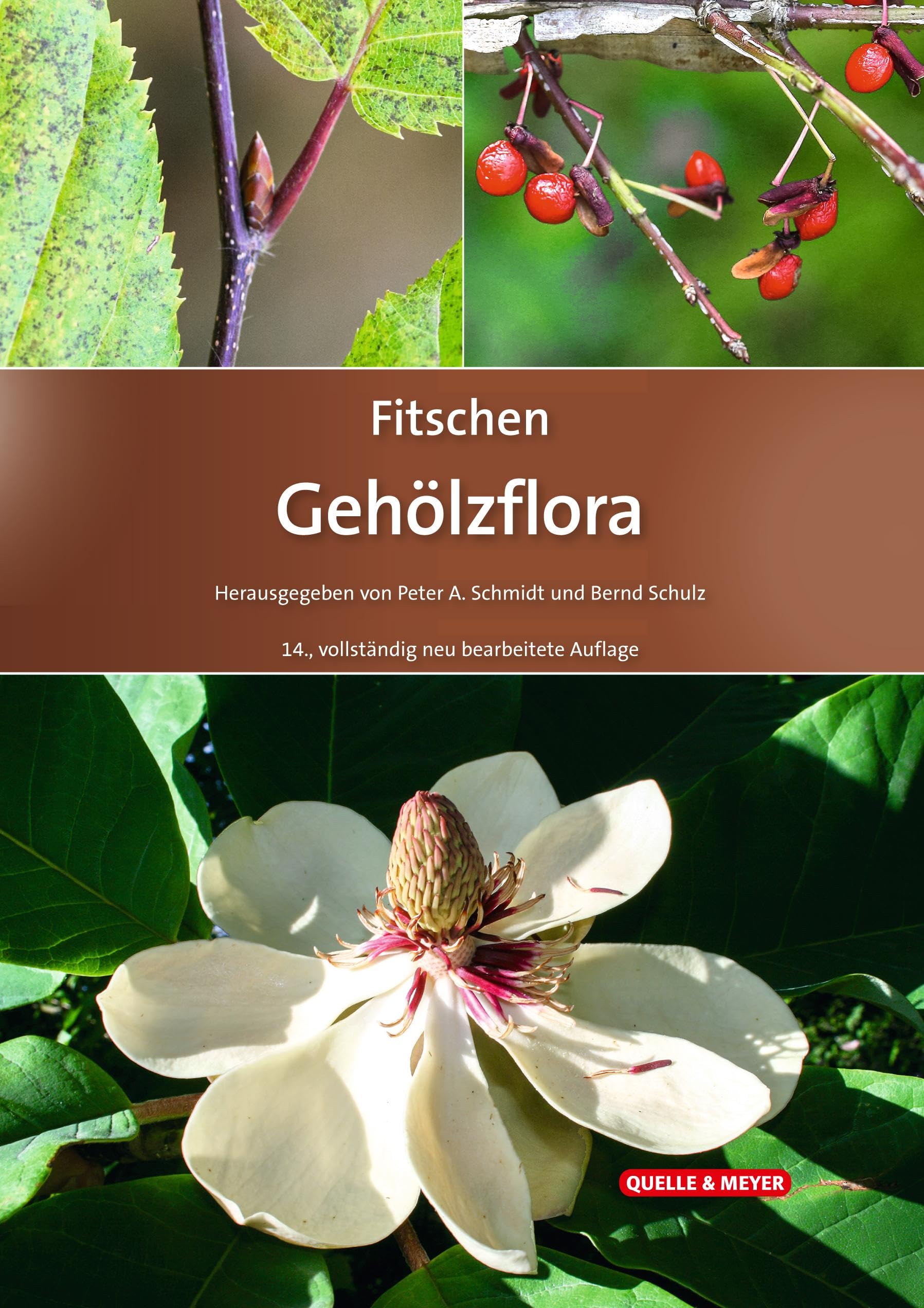 Fitschen – Gehölzflora: Ein Buch zum Bestimmen der in Mitteleuropa wild wachsenden und angepflanzten Bäume und Sträucher (Quelle & Meyer Bestimmungsbücher)