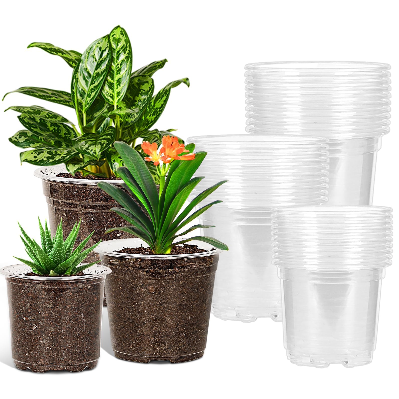 JERIA 30 Pack 5/6/7 Inch Clear Nursery Pots with Drainage Holes, Clear Plant Pot for Planting, Transparent Plastic Plant Pots,Durable Seed Starting Pot for Succulents