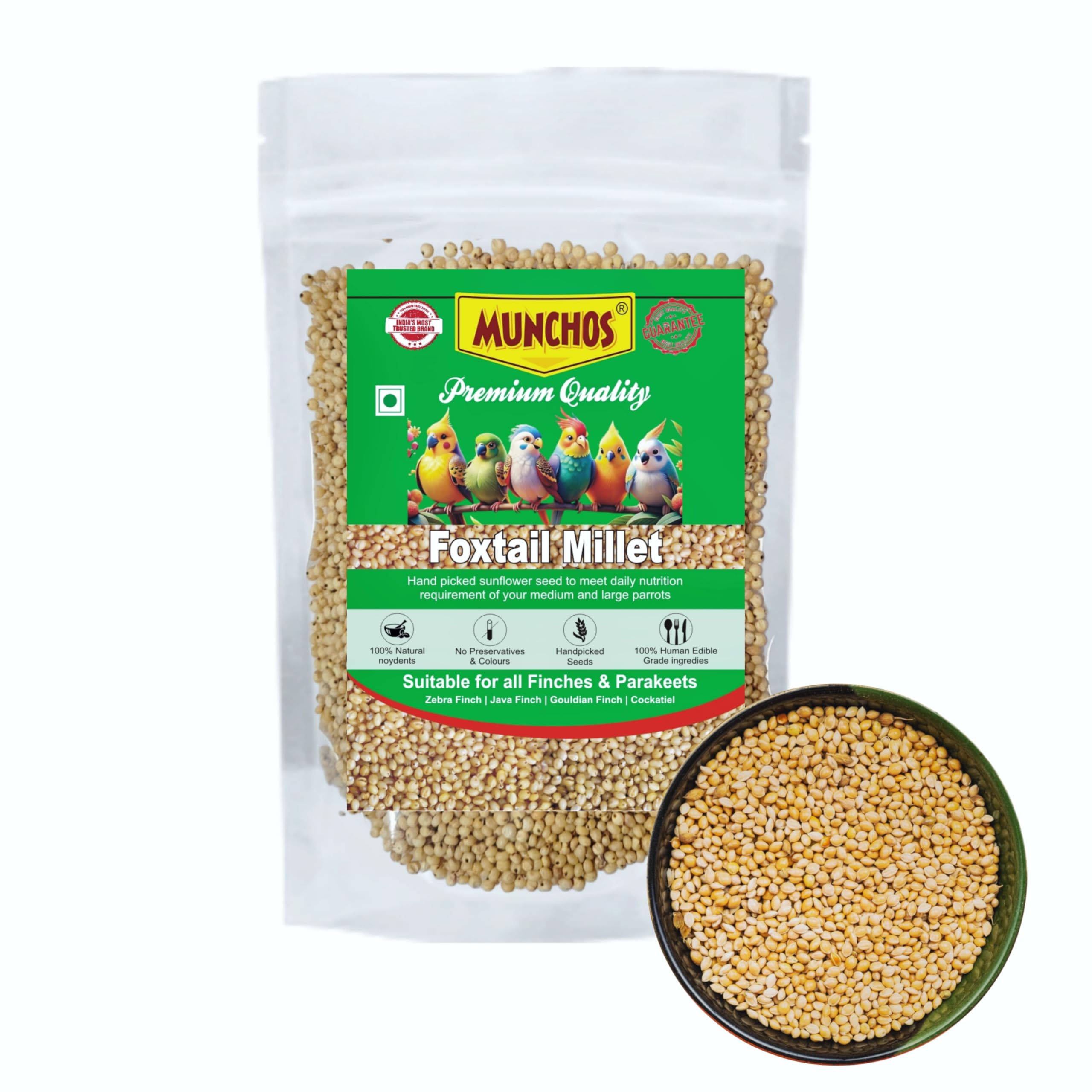 MUNCHOS Premium Foxtail Millet (Kangni) Seeds for Finches, Parakeets, Cockatiels, Zebra Finches, Java Finches and Other Small to Medium Birds, Pack of 450gm, Natural Seeds-image-29