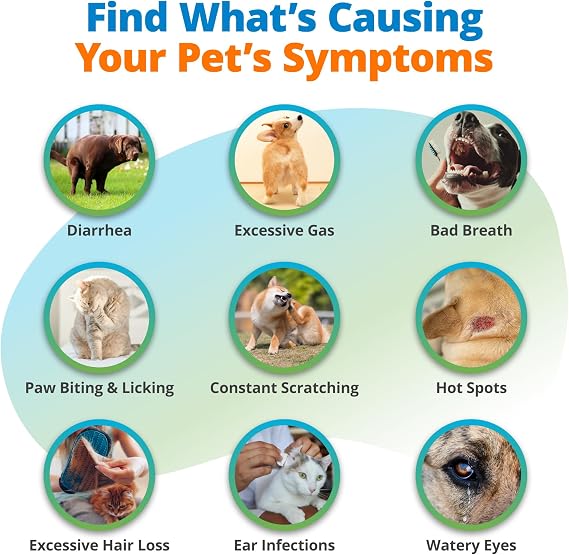 5Strands Pet Food Intolerance & Environmental Sensitivity Test, at Home Gut Health Test for Dogs & Cats, 857 Items Tested, Pet Health Check, Results in 4 Days, For All Ages and Breeds