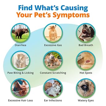 5Strands Pet Food Intolerance & Environmental Sensitivity Test, at Home Gut Health Test for Dogs & Cats, 1250+ Items Tested, Pet Health Check, Results in 4 Days, For All Ages and Breeds