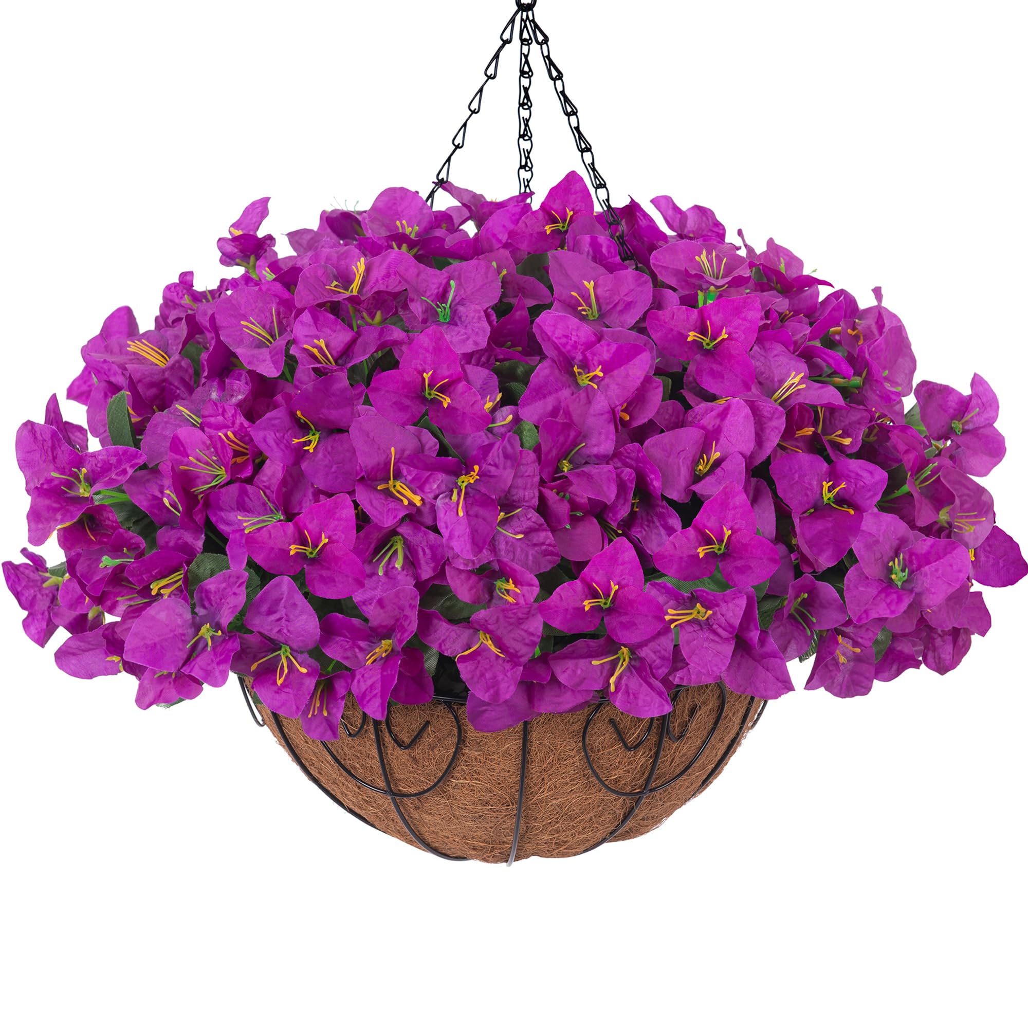 HyeFlora Purple Bougainvillea Hanging Basket