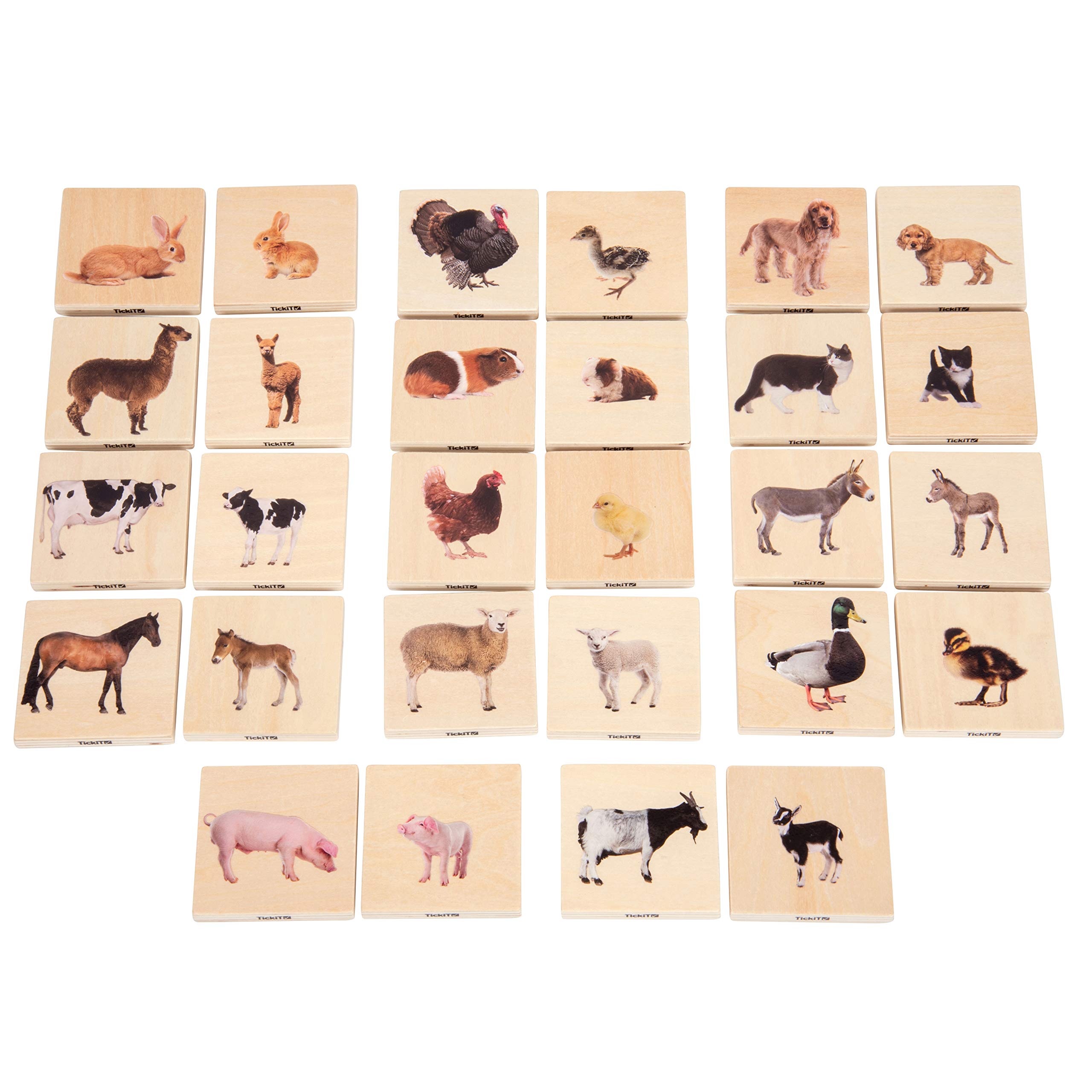 Buy TickiT 73406 Domestic Animal Family Match Set Of 28 Real 