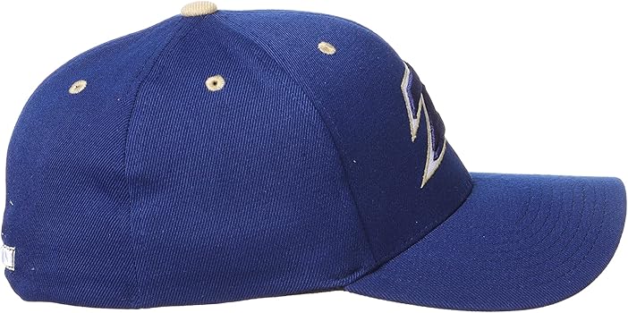 Amazon | Zephyr メンズ ストレッチフィット 帽子 チームカラー