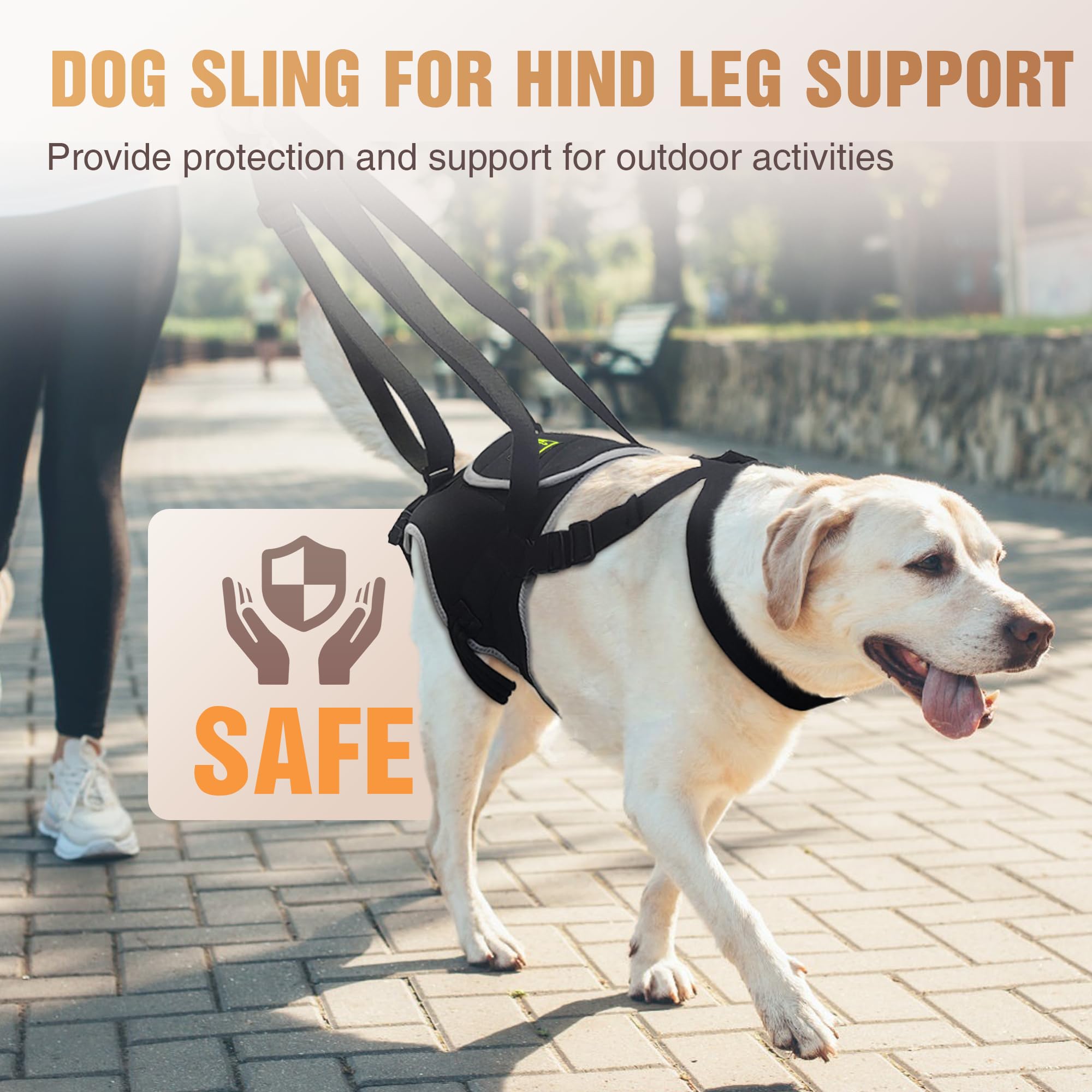 Arnés de elevación para perros pequeños, correa ajustable para displasia de cadera, artritis, discapacidad de patas traseras y recuperación postoperatoria, proporciona apoyo y ayuda a caminar,