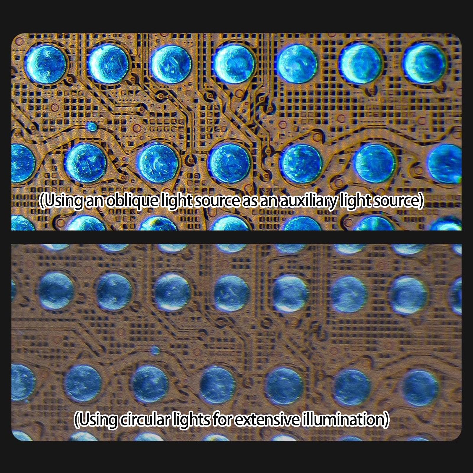 Microscopio dimmerabile regolabile universalmente regolabile regolabile Stepless Sorgente luminosa adatta per ricerca scientifica di laboratorio Microscopio di imaging trasparente Sorgente luminosa