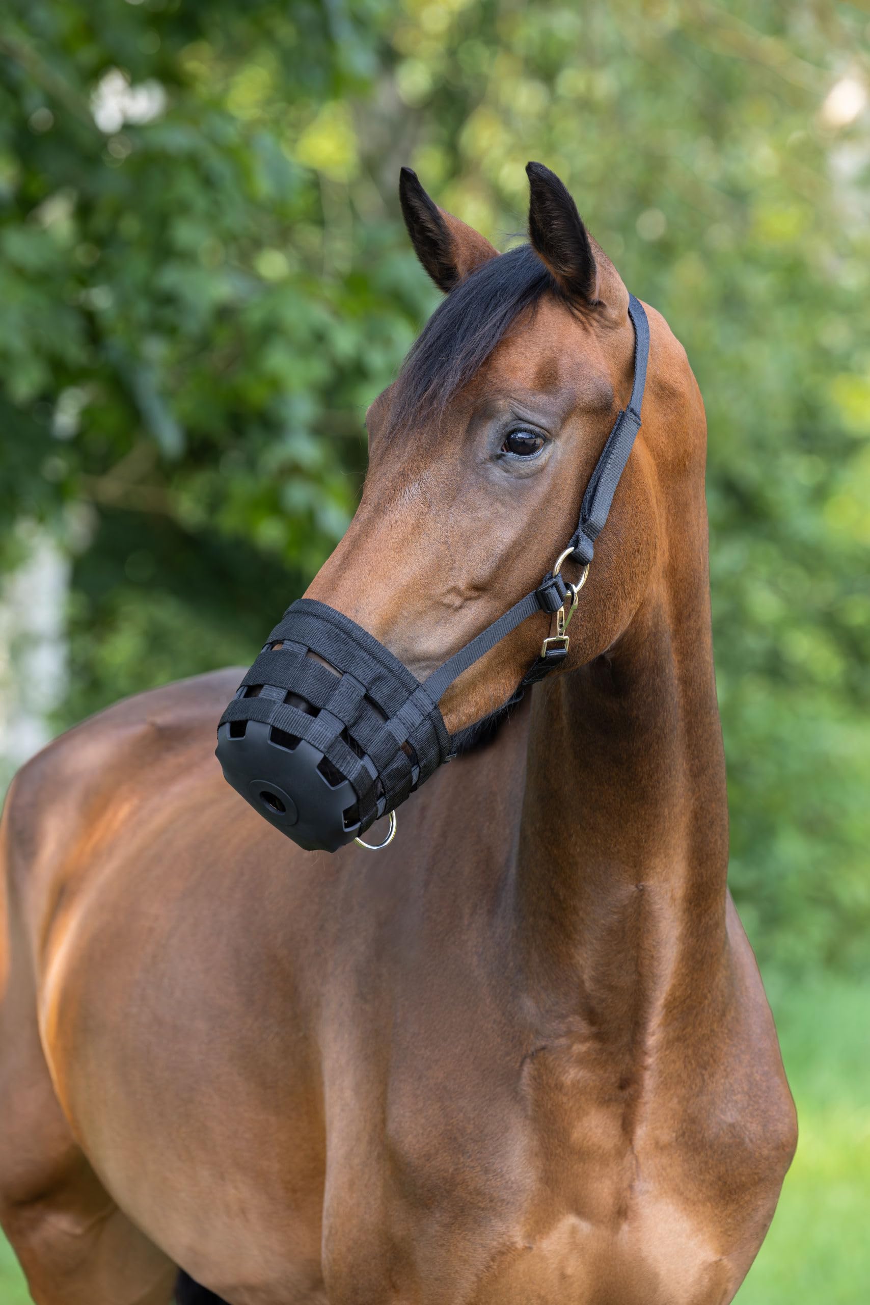 Kerbl Covalliero Bozal, bozal de pastoreo, Negro, Full, Caballo, con Refuerzo, fácil de Colocar