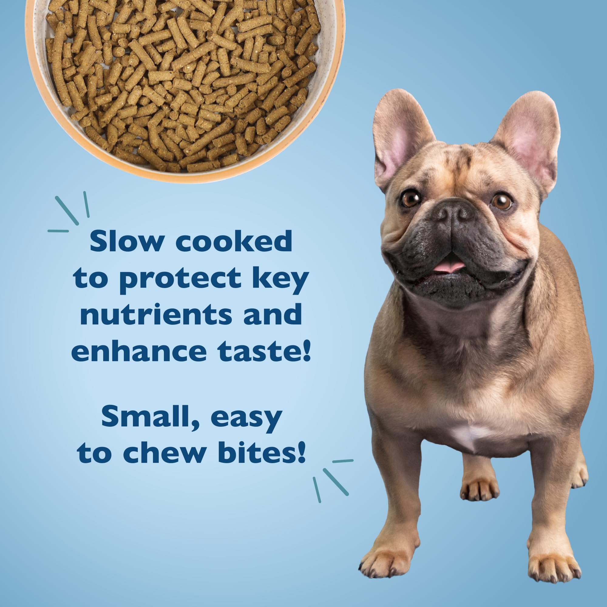 Bil-Jac Small Breed Adult ドライフード 5ポンド Small Breed Adult Dry Dog Food