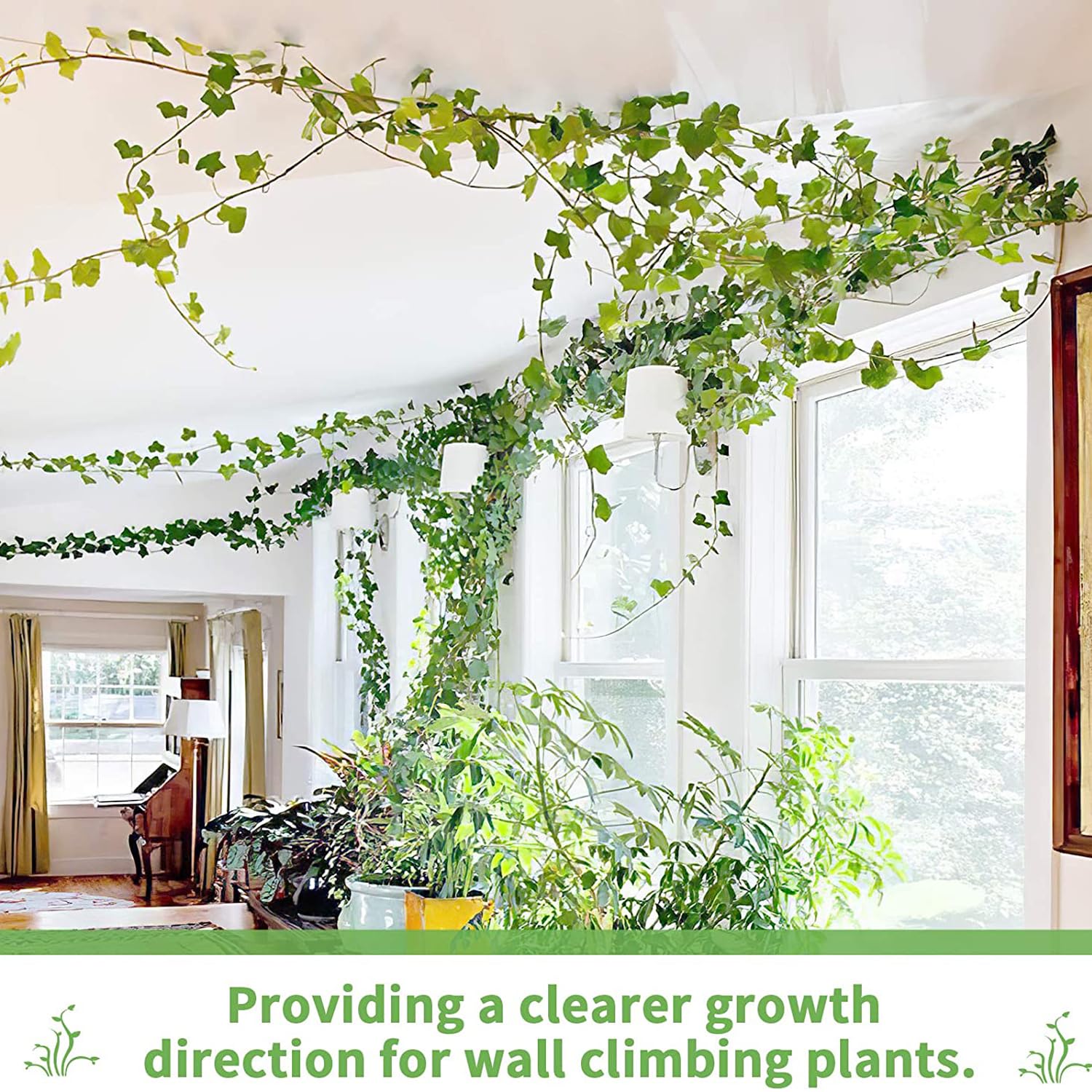 Amazon.com : LUOTIVON 72 Pcs Plant Climbing Wall Fixture Clips, Plant Fixer  Invisible Wall Vines Fixing Clips with 72 Pcs Acrylic Adhesive Sticker,  Self-Adhesive Hook Plant Vine Support Holder : Patio, Lawn