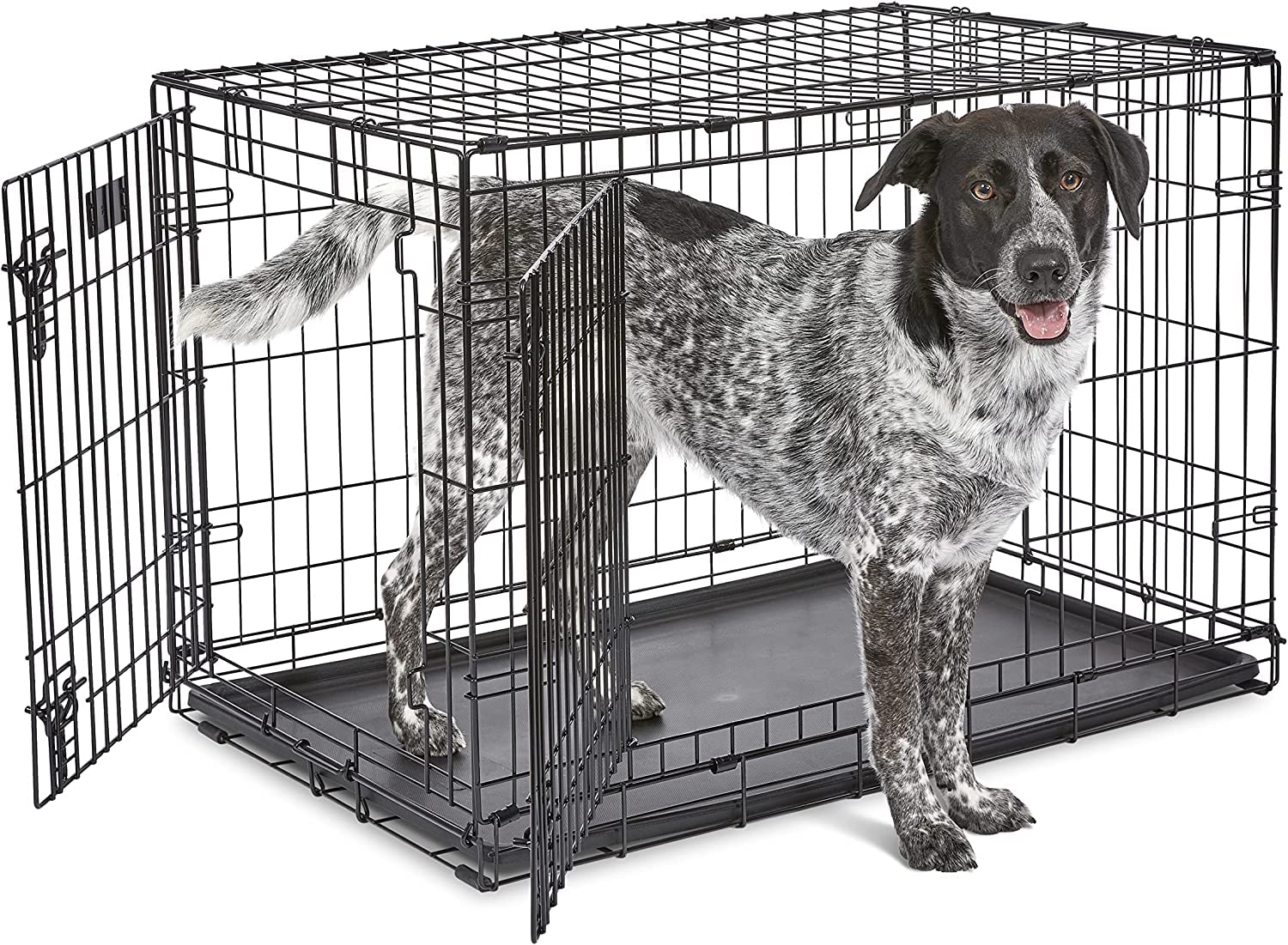 Double Door Folding Metal Dog Crate w/Divider Panel, Floor Protecting Feet & Leak Proof Dog Tray Intermediate Dog Breed, 36 Inches，Black