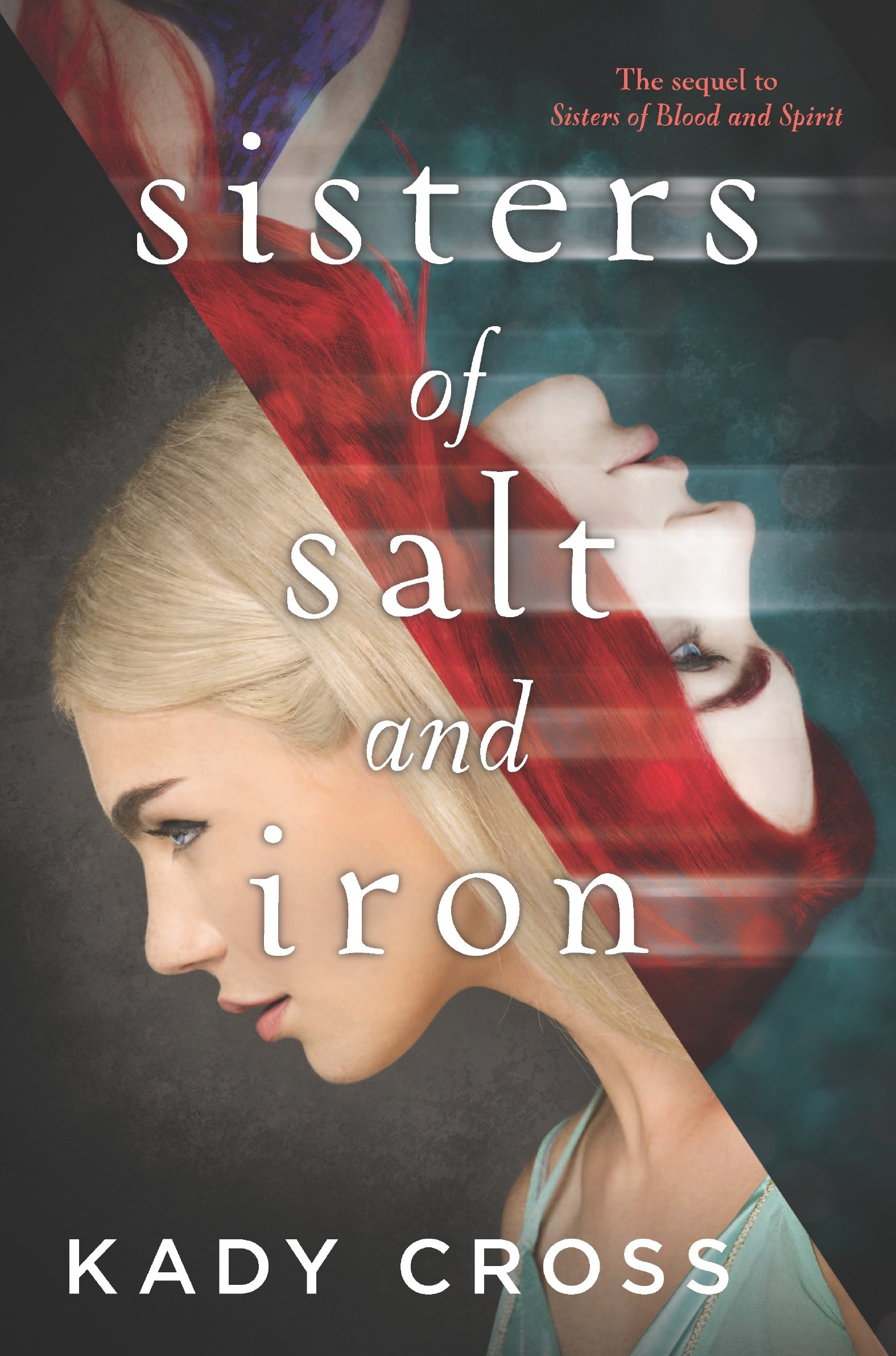 Sisters of Salt and Iron (Sisters of Blood and Spirit Book 2)