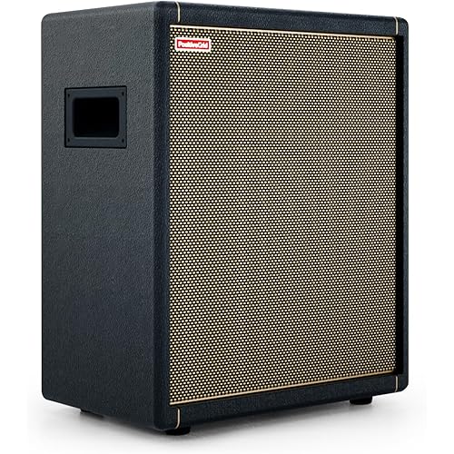 Positive Grid Spark CAB Powered Guitar Amp Speaker Cabinet for Spark Series Amps, Multiple Instruments, Modelers, and More