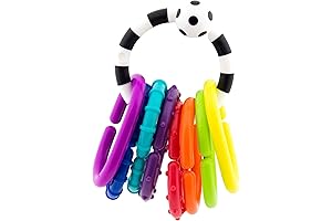 Sassy Ring O Links: The Ideal Amusement for Inquisitive Little Ones