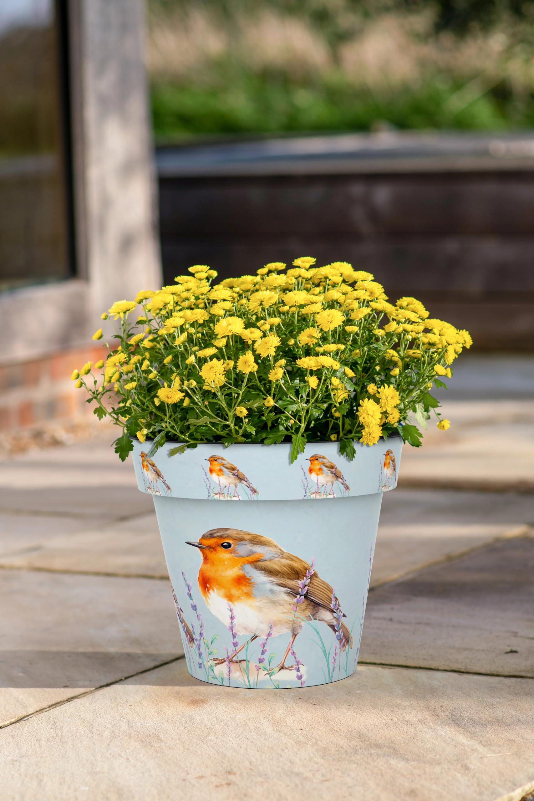 Creekwood Zest Plastic Plant Pot, Decorative Printed Indoor Outdoor Flower Pot, Lightweight Weatherproof Small Garden Planter for Herbs, Flowers, Succulents & Houseplants