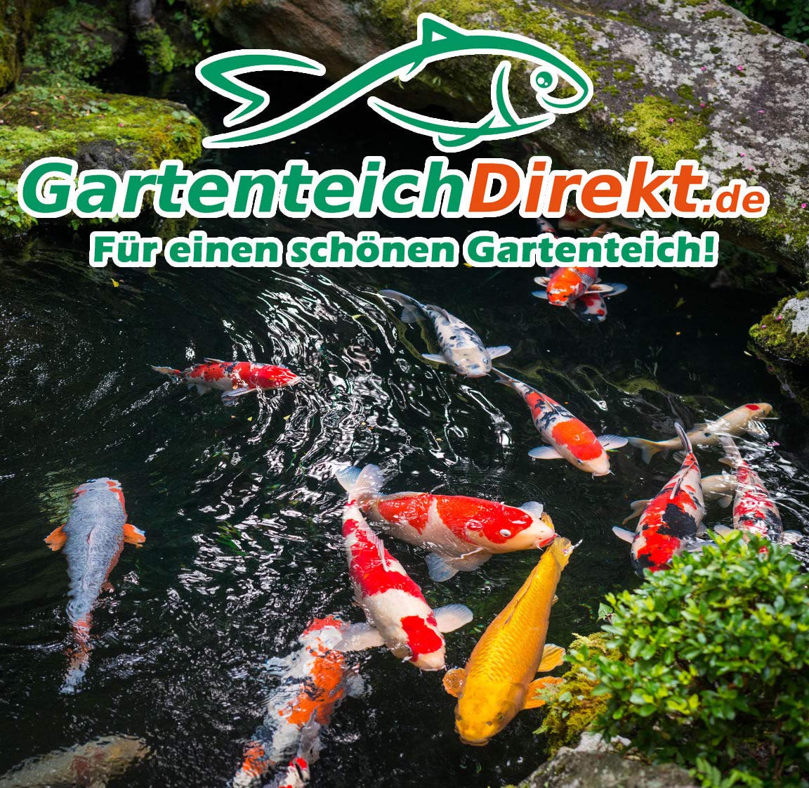 Teichklar Teichklärer für den Gartenteich 5 Liter (Klärer gegen grünes und trübes Teichwasser, klares Wasser im Gartenteich)
