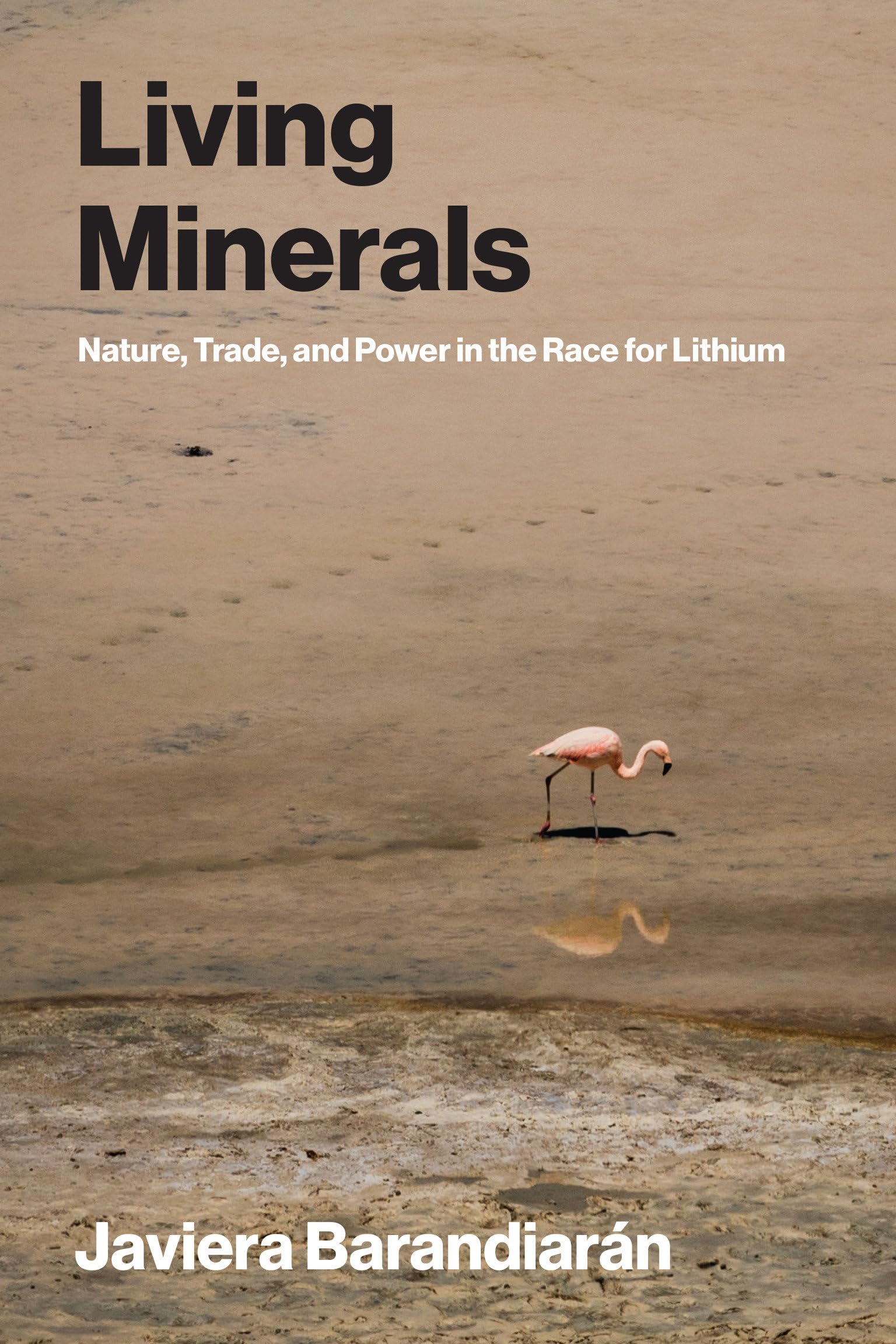Living Minerals: Nature, Trade, and Power in the Race for Lithium (Urban and Industrial Environments)