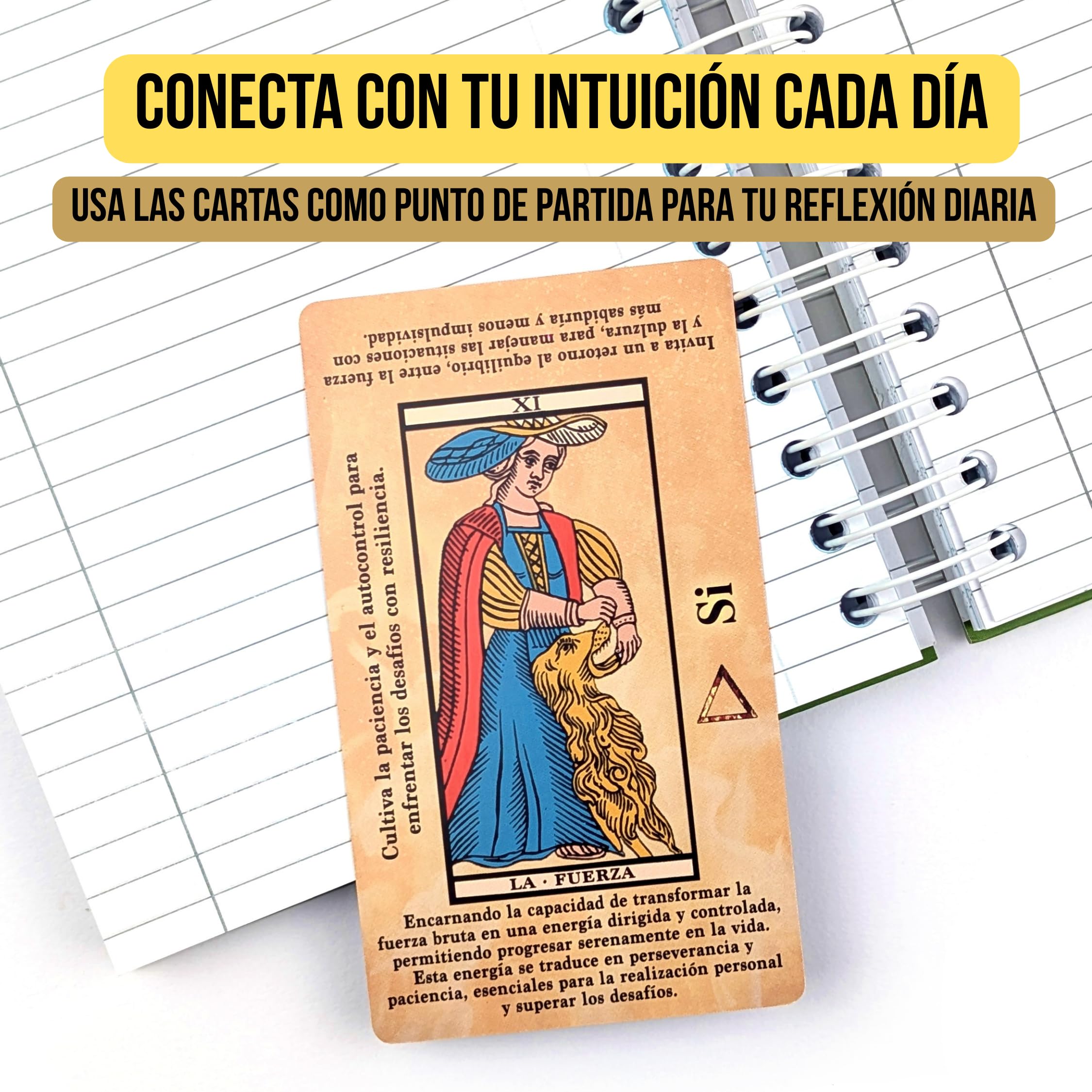 Witchy Cauldron Tarot de Marsella para Principiantes en Español - 78 Cartas con Significados e Interpretación Fácil - Tarot Clásico Divinatorio