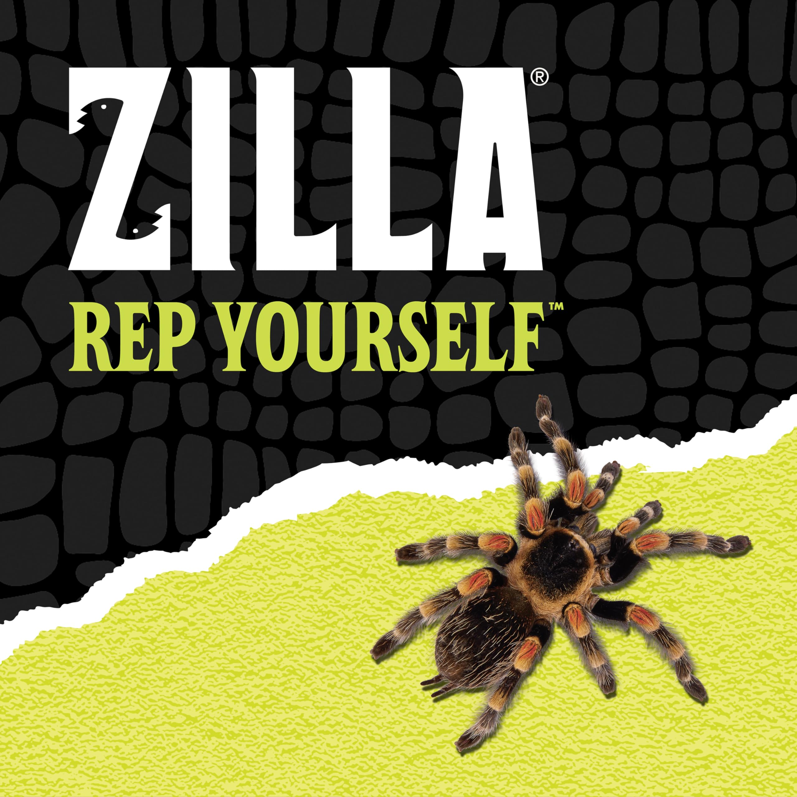 Zilla Micro Habitat Terraria z zatrzaskiem blokującym, naziemne, małe