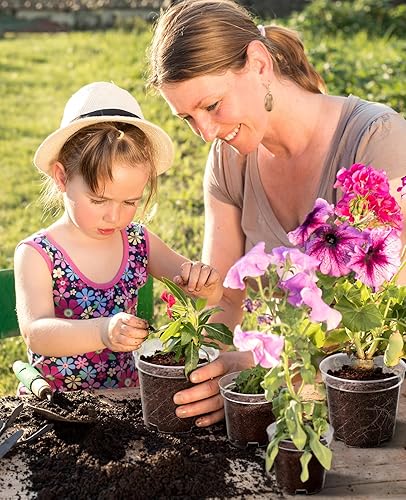 Miniatura 5 de Homenote Macetas transparentes para plantas de vivero, macetas de plántulas de 345 pulgadas con agujeros de drenaje, maceta para plantar flores,
