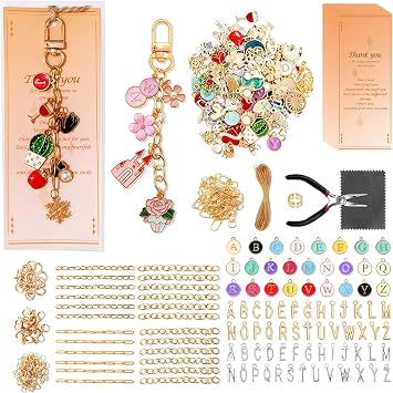 Acidea 702Pcs Keychain Making kit, Bag Charm Kits with Keychain, Charms, Chains, Jump Rings, Lobster Clasps, Plier, Gift Bags & Thanks Card, DIY Craft Supplies