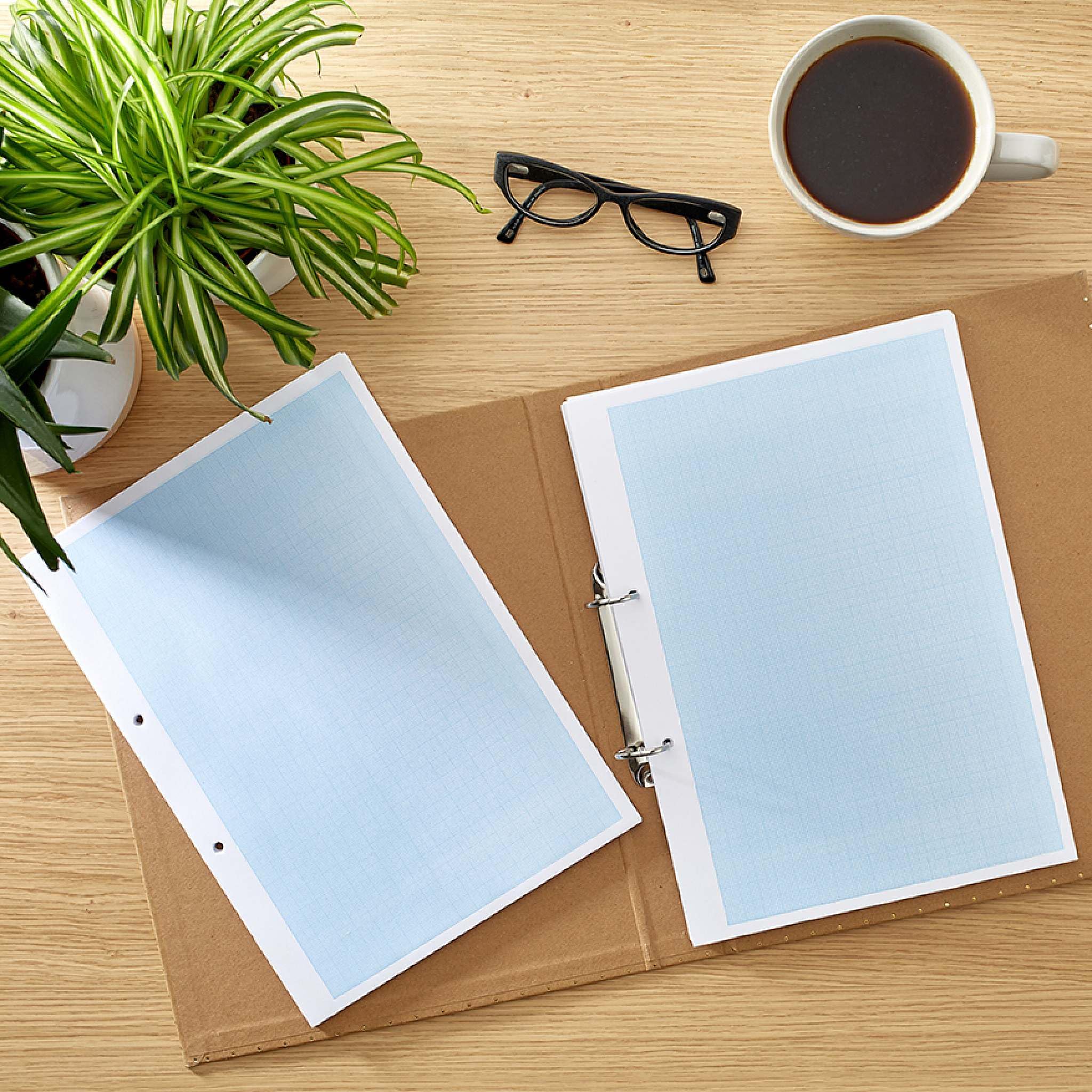 RHINO Stationery A4 Millimeterpapier | 500 Blatt | Loseblattpapier | karierte Lineatur | vorgestanzt | Schulungsstandard Übungspapier
