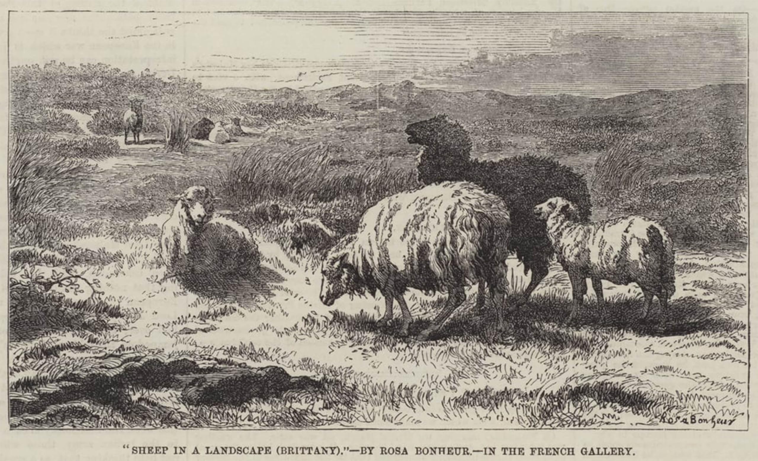 POSTERIIk Famous Print Pop Art Wall Art Graffiti Sheep in a Landscape Brittany by Rosa Bonheur Art Prints for Home Decor 60x90cm
