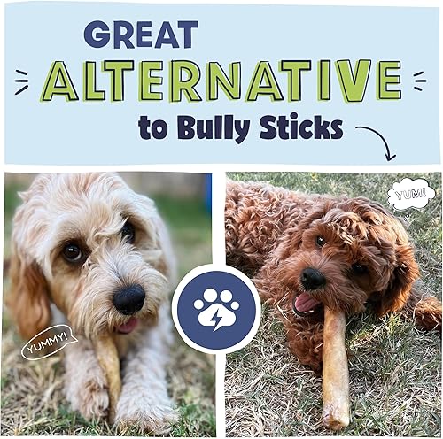 Miniatura 12 de Palitos de colágeno para perros, masticables de larga duración para todas las razas, 5 palitos y golosinas alternativas de cuero crudo