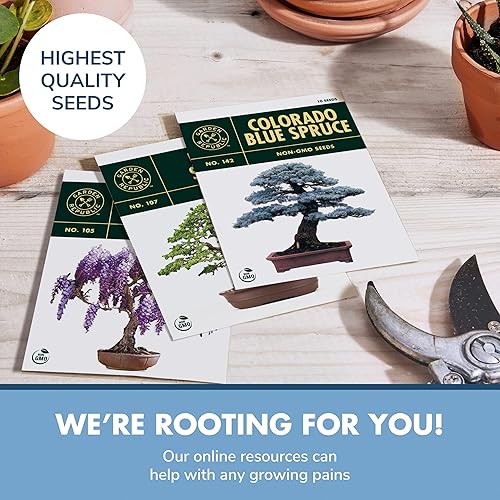 Miniatura 15 de Kit de principiantes de semillas de árbol Bonsai, Mini juego de cultivo de plantas Bonsai, 4 tipos de semillas, macetas, tijeras de podar