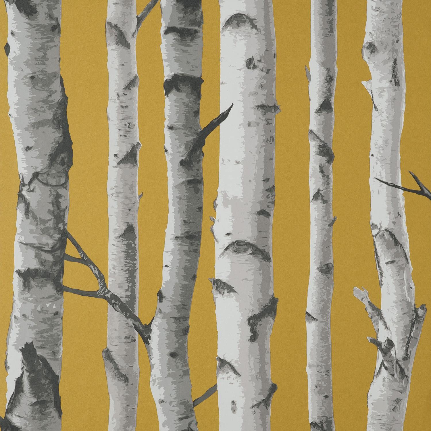 Yöl Mustard Birch Trees Wallpaper - Nature Branches Grey - Modern. Contemporary, Feature Wall, Paste The Wall