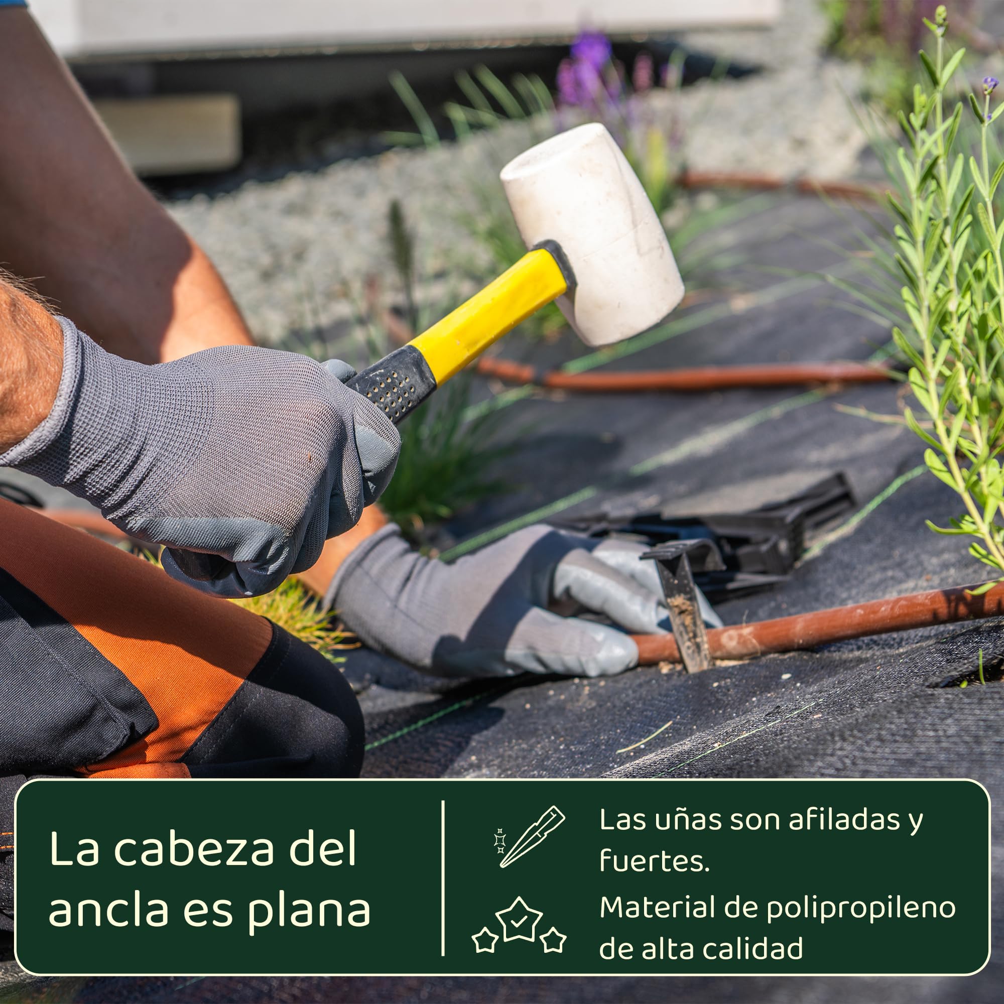 GARDENIX Manguera de jardín con ancla, 100 unidades, anclajes de fijación para manguera de goteo, pinchos para riego, diámetro de 16 mm, tenedor de perlado estable y resistente a roturas, larga