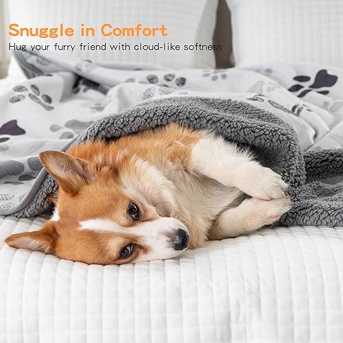 Miniatura 5 de Mantas impermeables para perros, manta para mascotas de 50 x 60 pulgadas, suave y esponjosa, protector de cama de sofá, manta reversible de forro