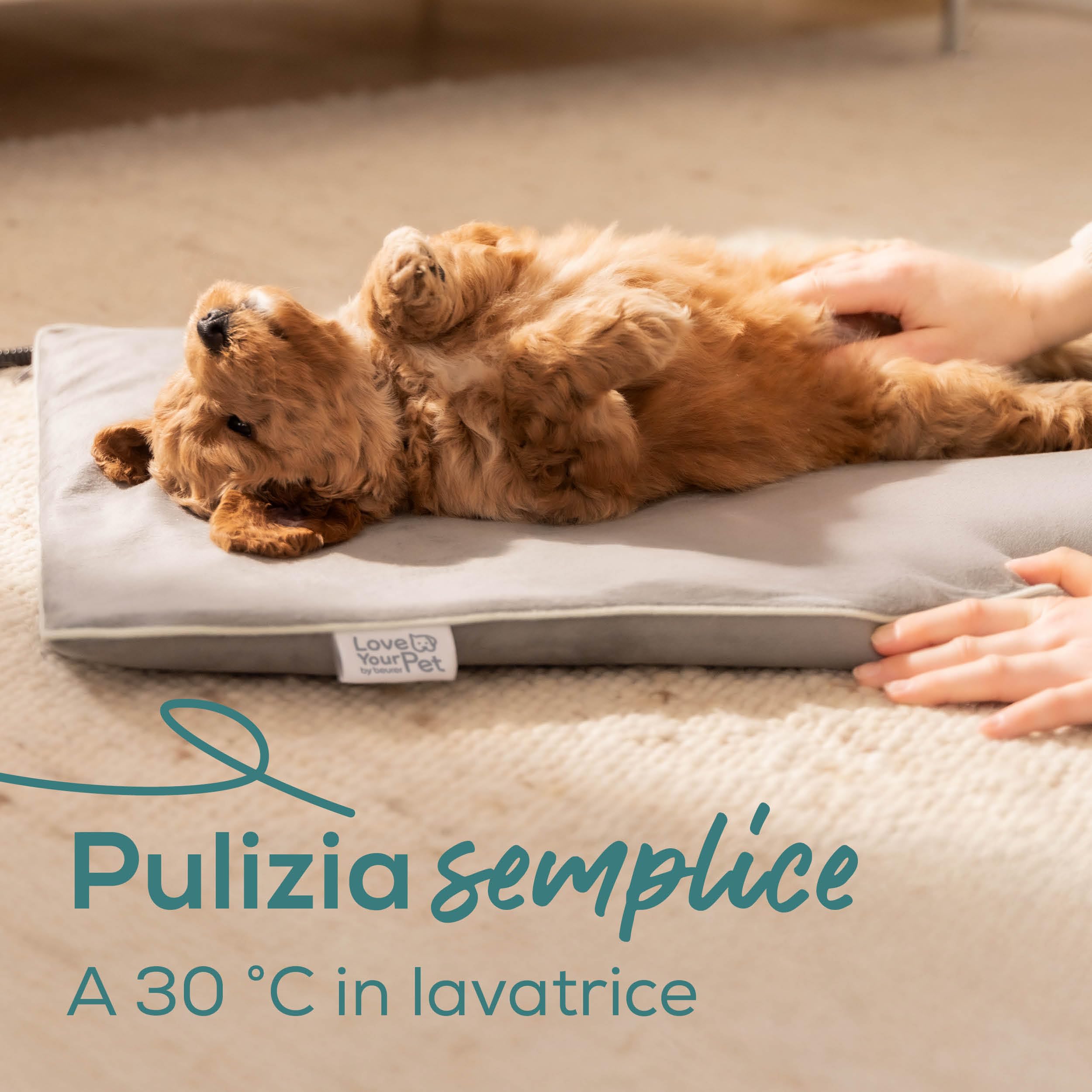 Beurer Love Your Pet Tappetino riscaldante "Lilli" per Cani e Gatti, taglia S, con Timer, termoforo piccolo per animali domestici, lavabile a 30 °C, resistente ai graffi e impermeabile, 41 x 34 cm