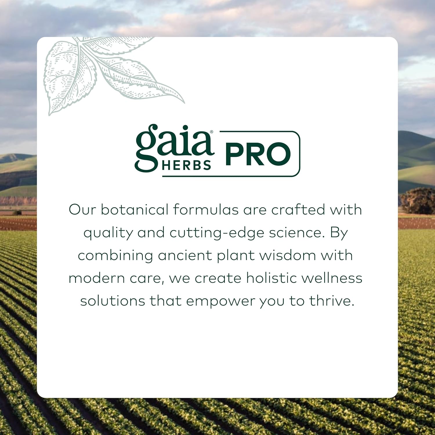 GAIA HERBS PRO Holy Basil - Stress Support Supplement - Contains Organic Holy Basil Leaf - Vegan, Gluten-Free & Soy-Free - 60 Liquid Phyto-Caps (60 Servings)
