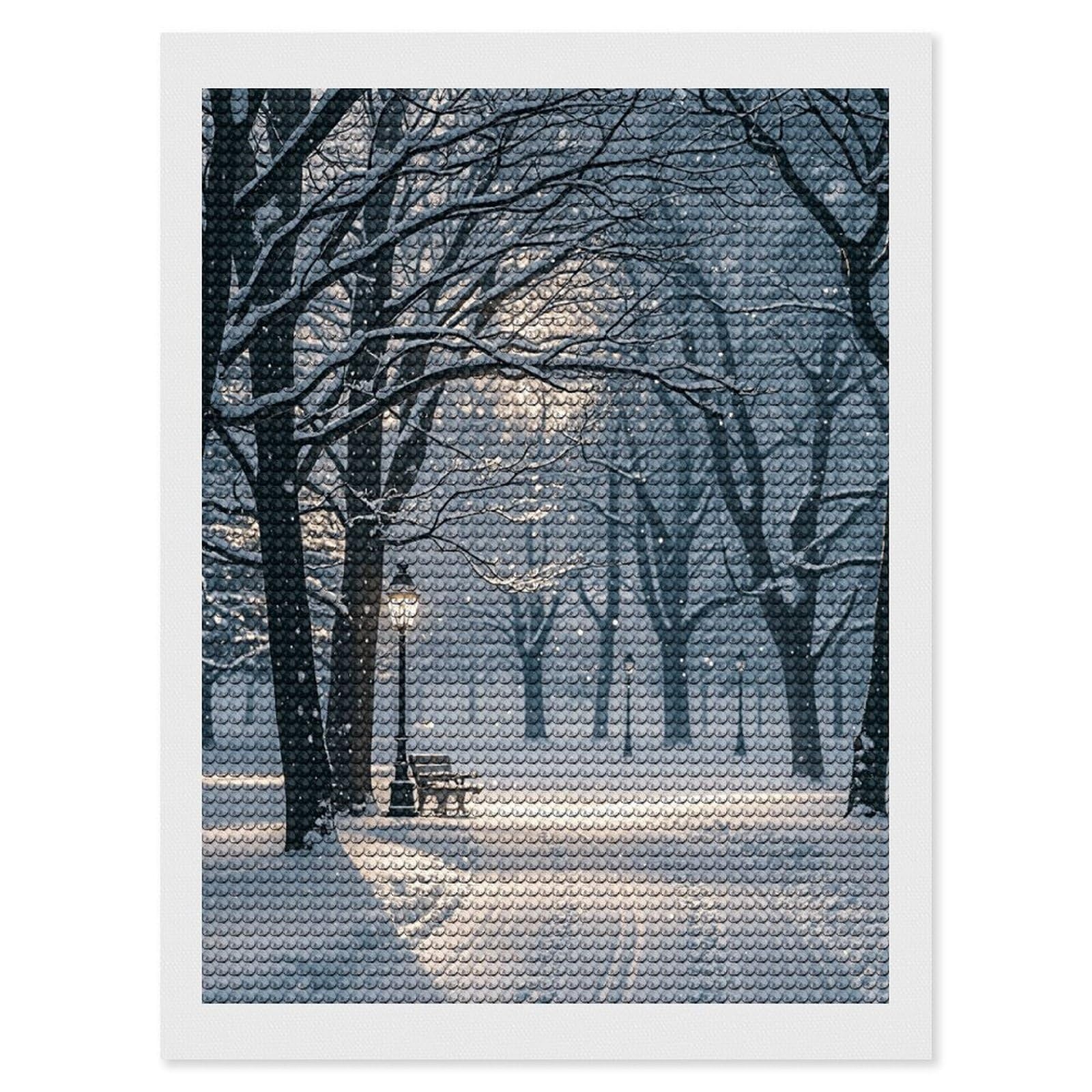 DWVTSLH Winter Snow Falling in The Park Diamond Painting Kits for Adults, Personalized Diamond Photo Art Full Drill, DIY 5D Diamond Art Painting Kits for Beginners, Home Wall Decor 12"x16"