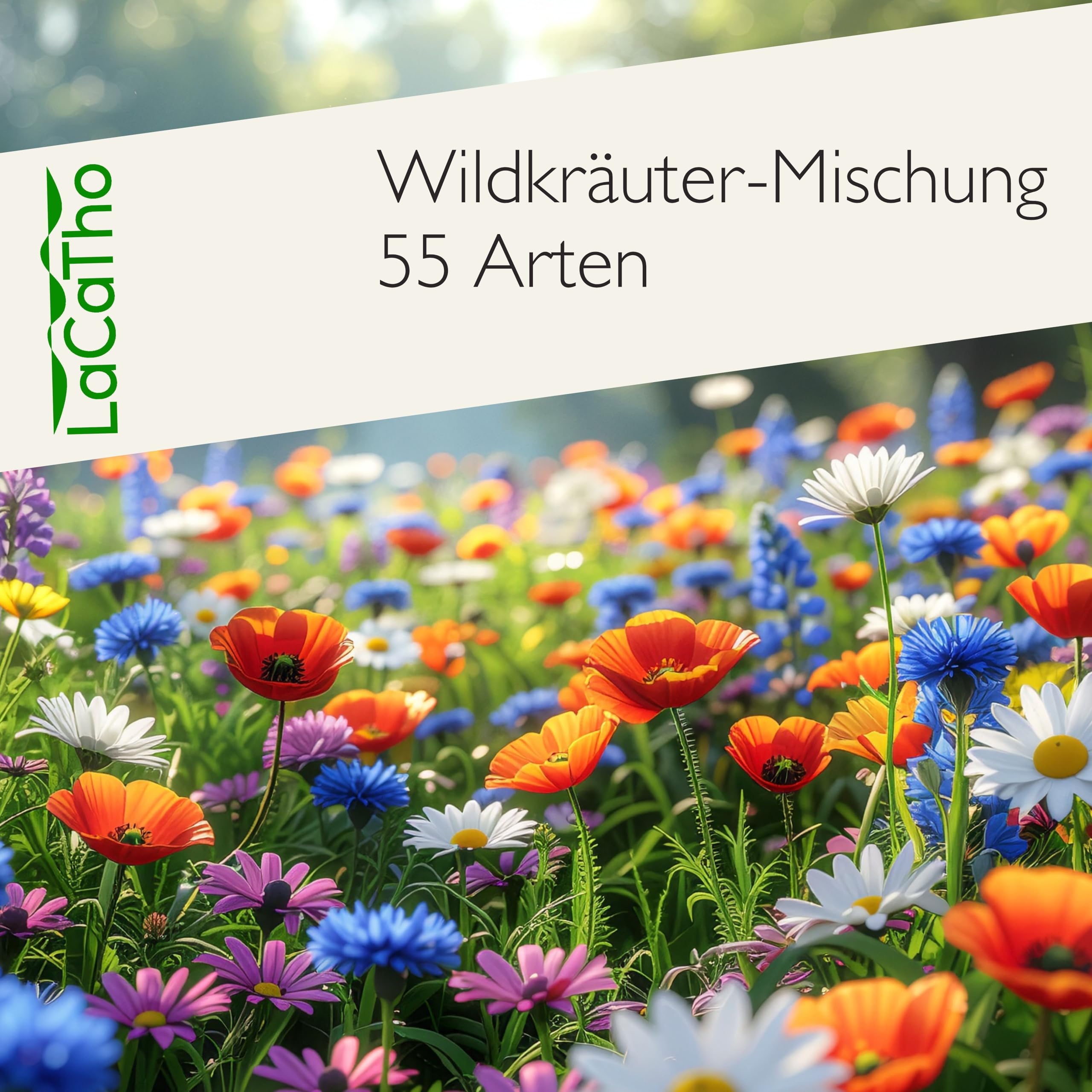 Blumenwiese mit Keimgarantie als Wildkräuter Mischung fünfjährige Bienenweide, insektenfreundlicher Garten mehrjährige winterharte Blühwiese für Bienen & Hummeln (250qm)