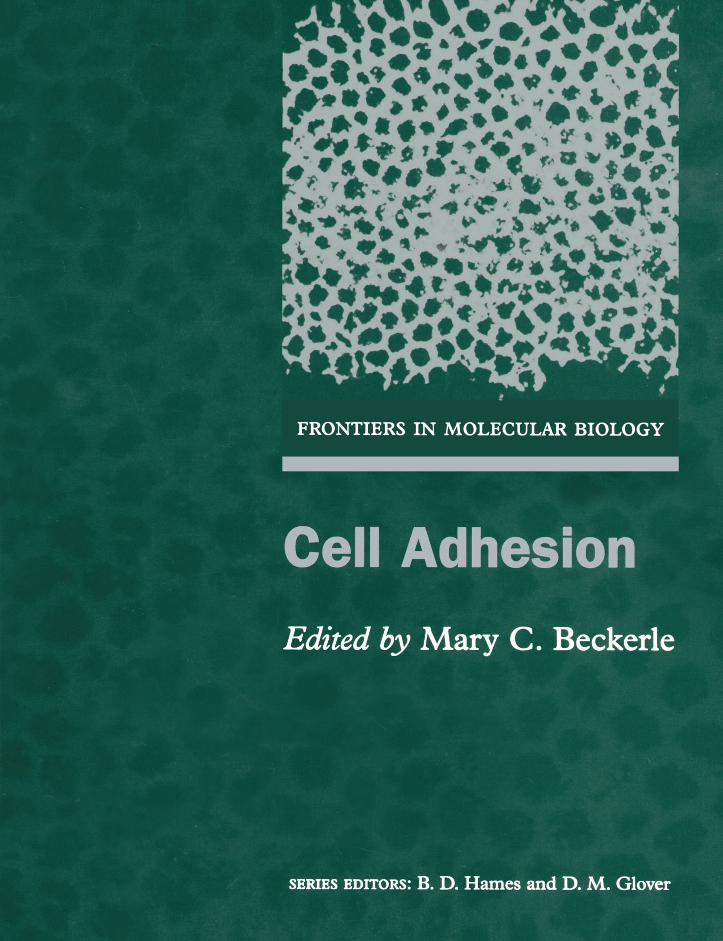 Cell Adhesion