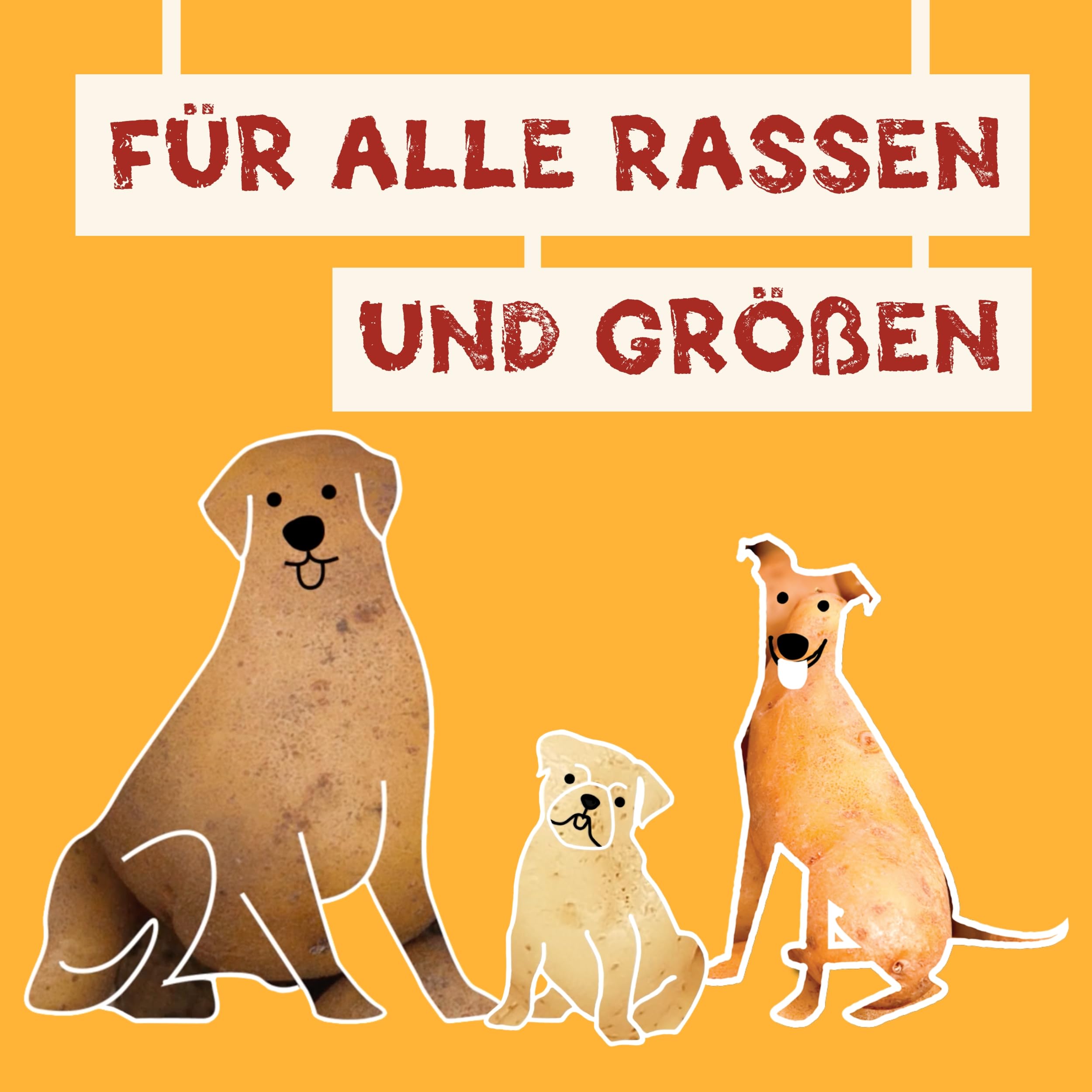 Knoopsnacks voor honden (6 x 180g) | Naturlijke trainingssnacks met 87% zoete aardappel, Rijst en Biergist